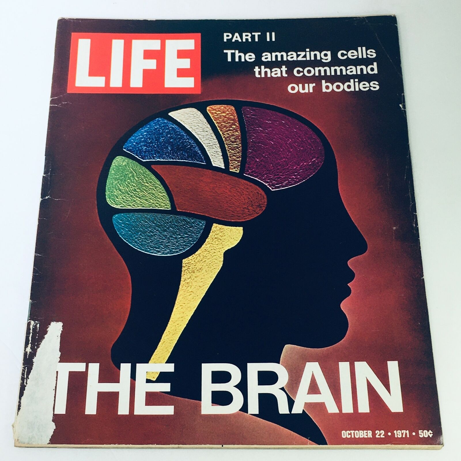 VTG Life Magazine December 22 1971 - Part II of The Brain and The Amazing Cells