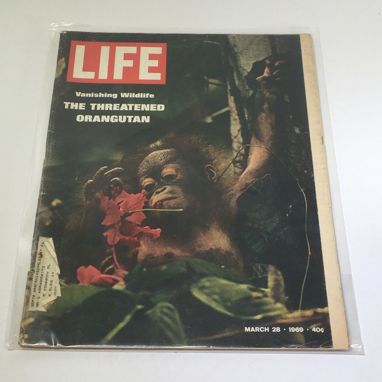 VTG Life Magazine: March 28 1969 - Vanishing Wildlife The Threatened Orangutan