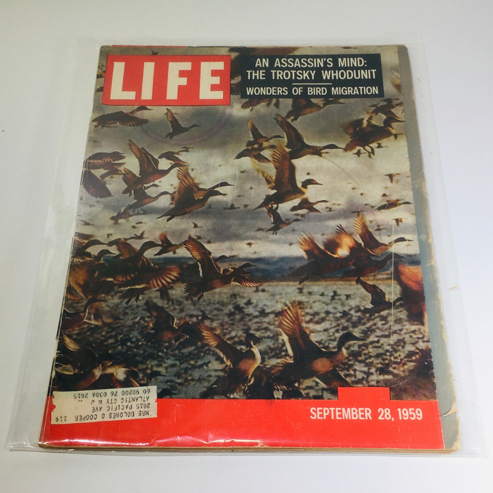 VTG Life Magazine: Sept 28 1959 - The Trotsky Whodunit/Wonders of Bird Migration