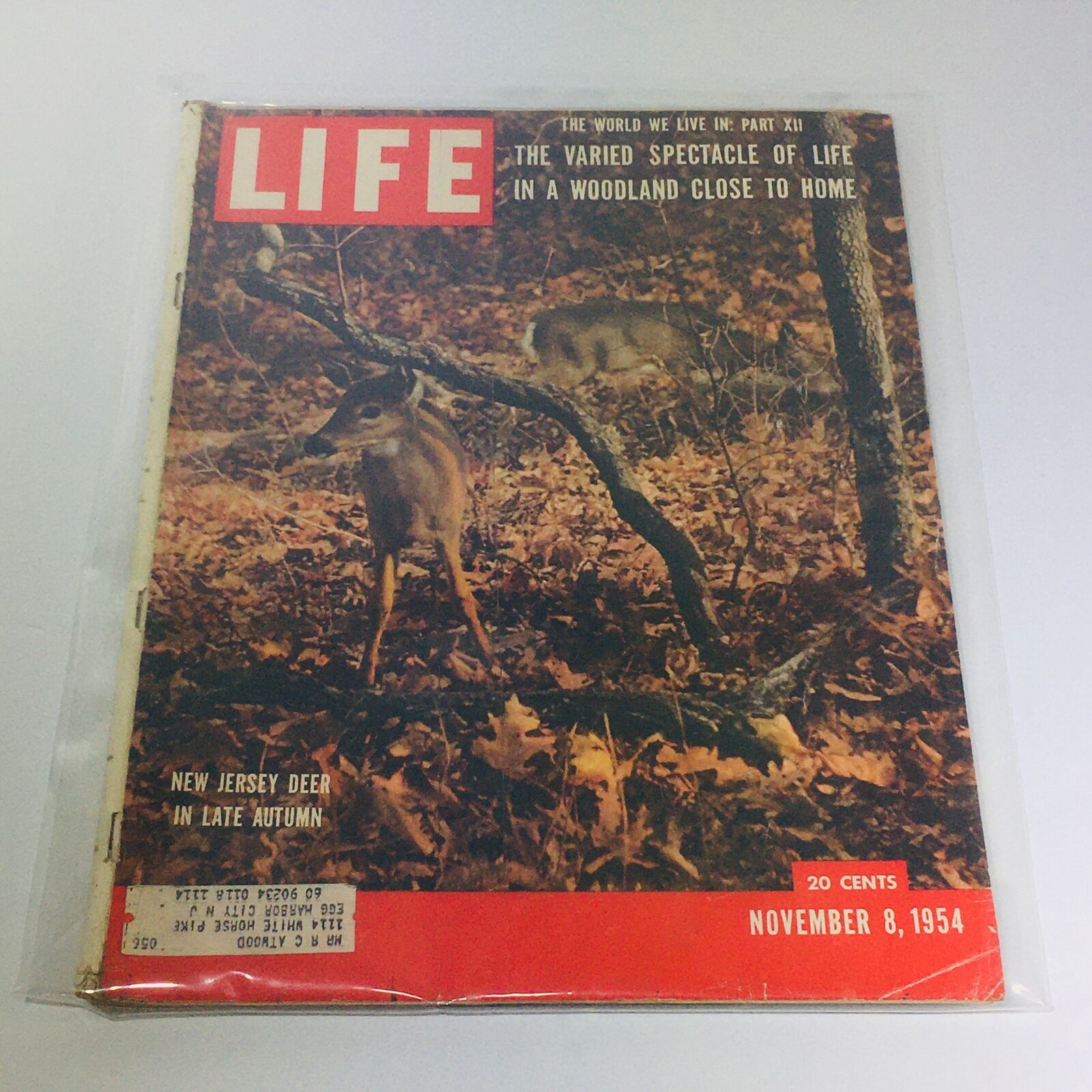 VTG Life Magazine: November 8 1954 - New Jersey Deer/Varied Spectacle of Life