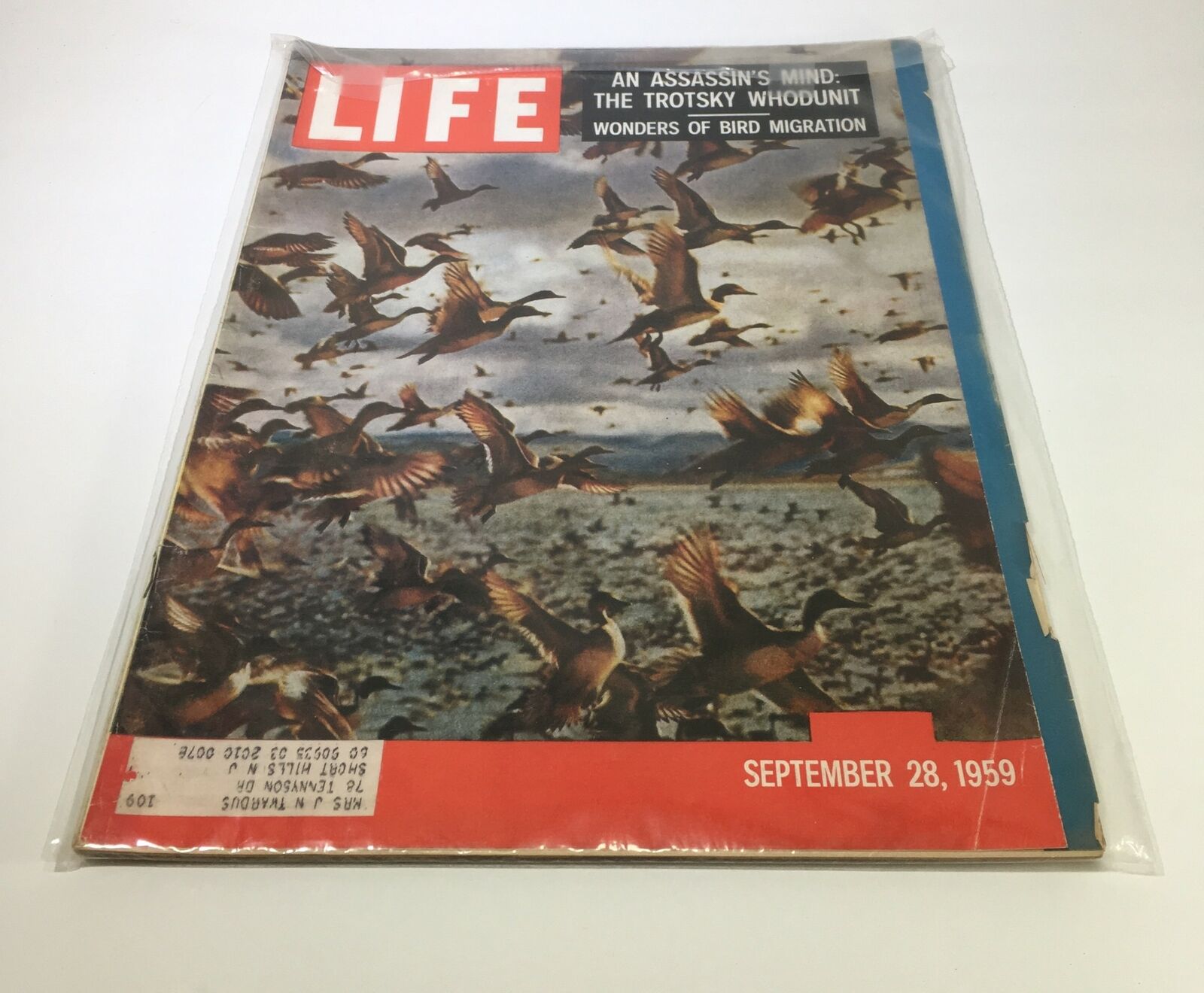 VTG Life Magazine September 28 1959 Wonders of Bird Migration Feature