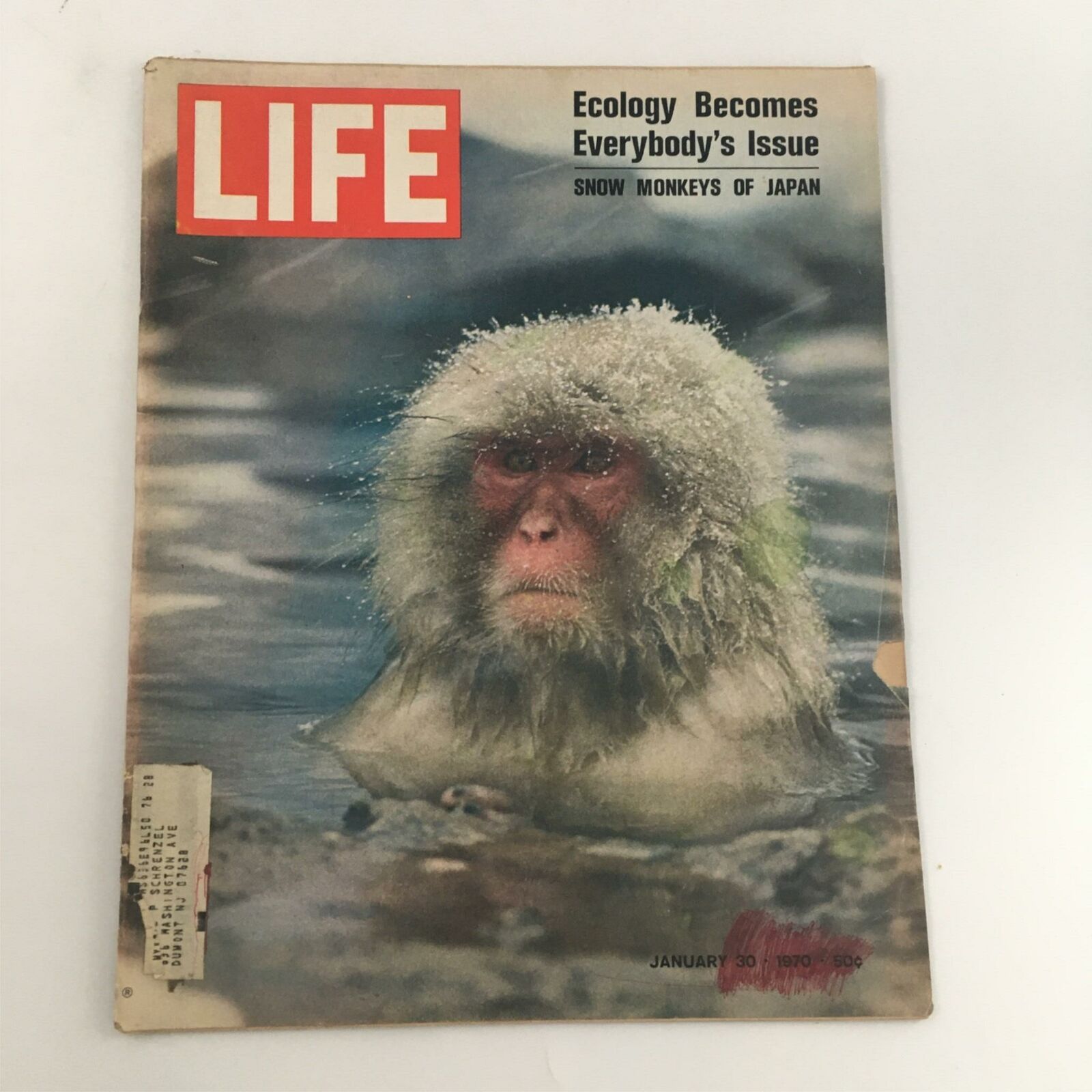 VTG Life Magazine January 30, 1970 Snow Monkeys of Japan