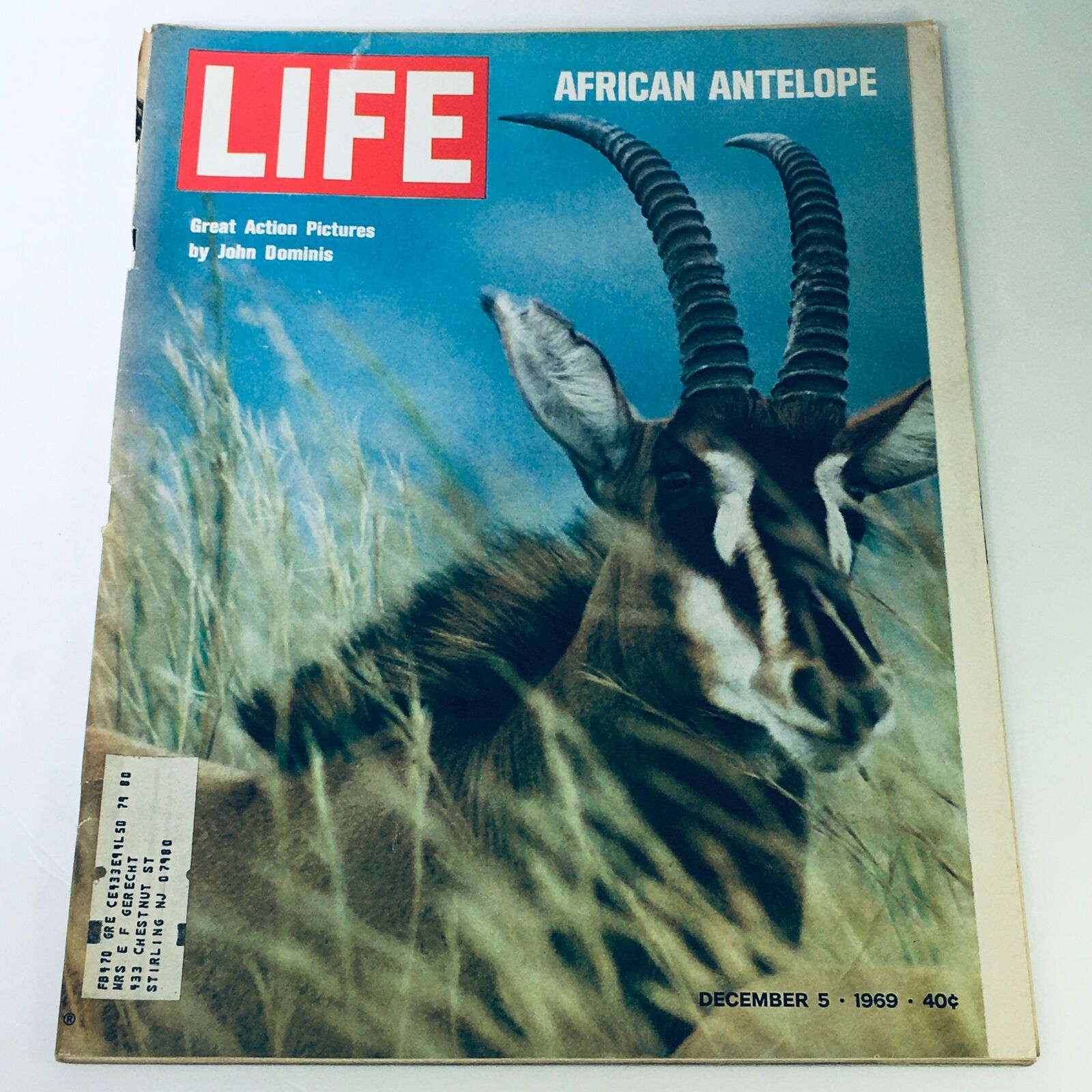 VTG Life Magazine December 5 1969 - African Antelope Photograph by John Dominis