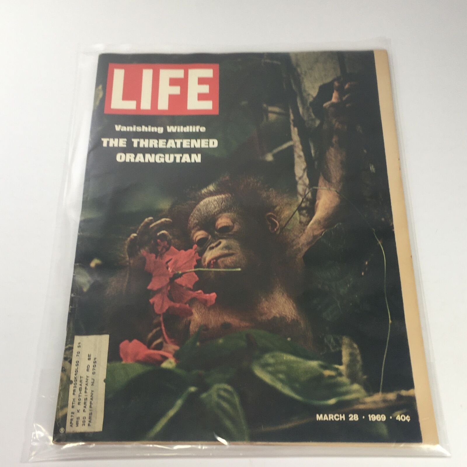 VTG Life Magazine: March 28 1969 - Vanishing Wildlife: The Threatened Orangutan