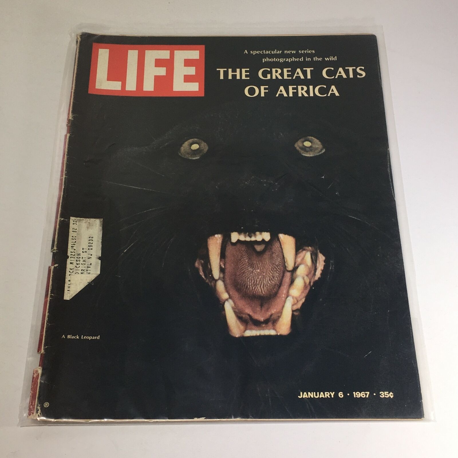 VTG Life Magazine: January 6 1967 - A Black Leopard: The Great Cats of Africa