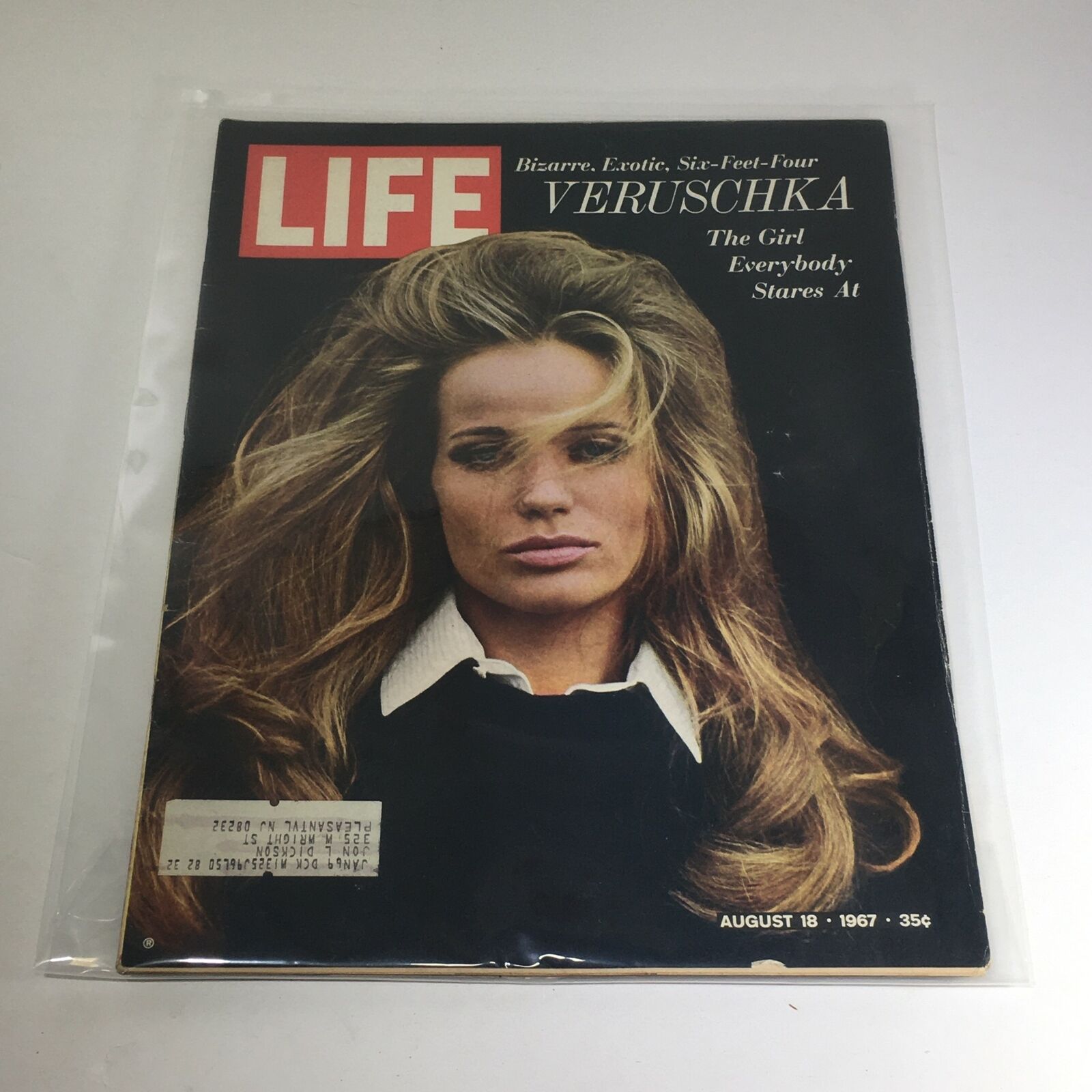 VTG Life Magazine: August 18 1967 - Veruschka von Lehndorff: Everybody Stares At