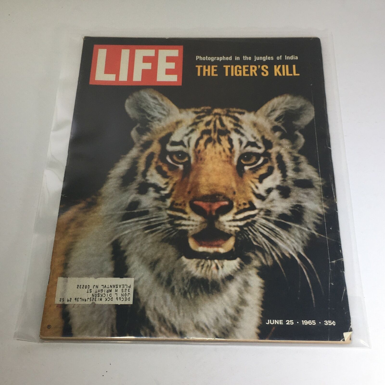 VTG Life Magazine - June 25 1965 - Photographed in the Jungles of India: Tiger