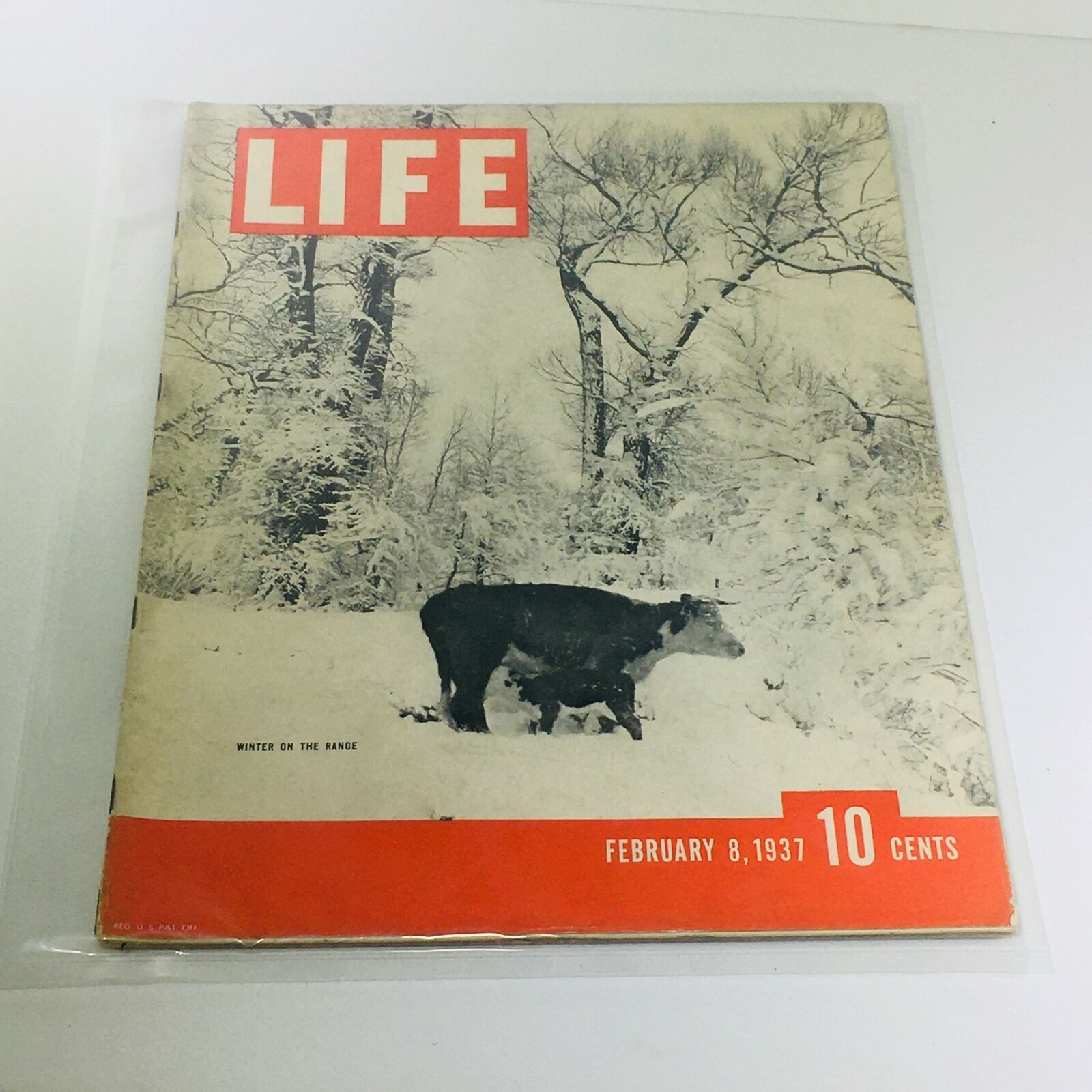 Vintage Life Magazine: Winter On The Range - February 8 1937