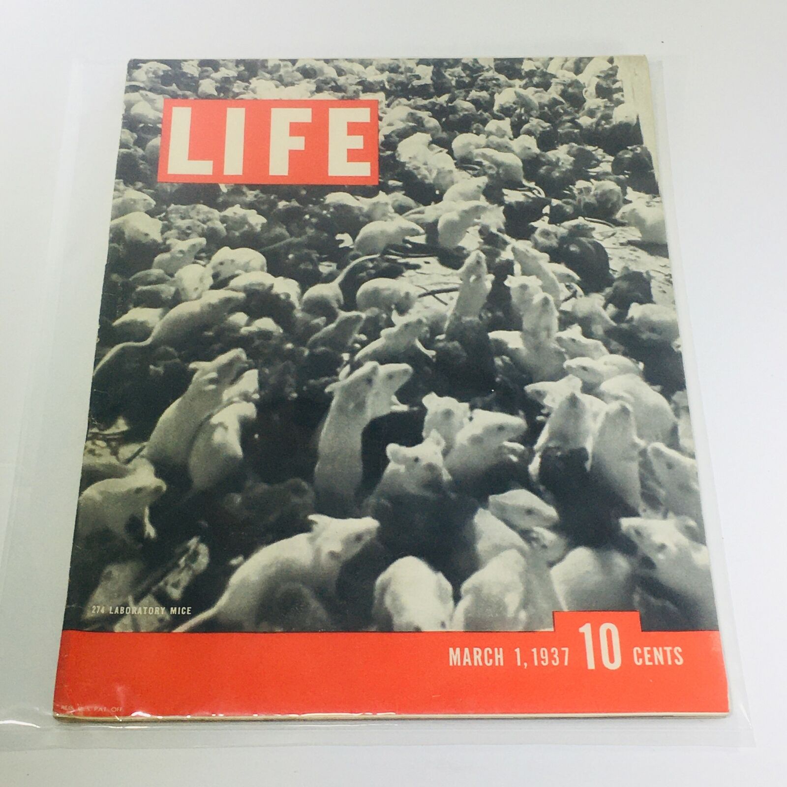 Vintage Life Magazine: March 1 1937 - 274 Laboratory Mice