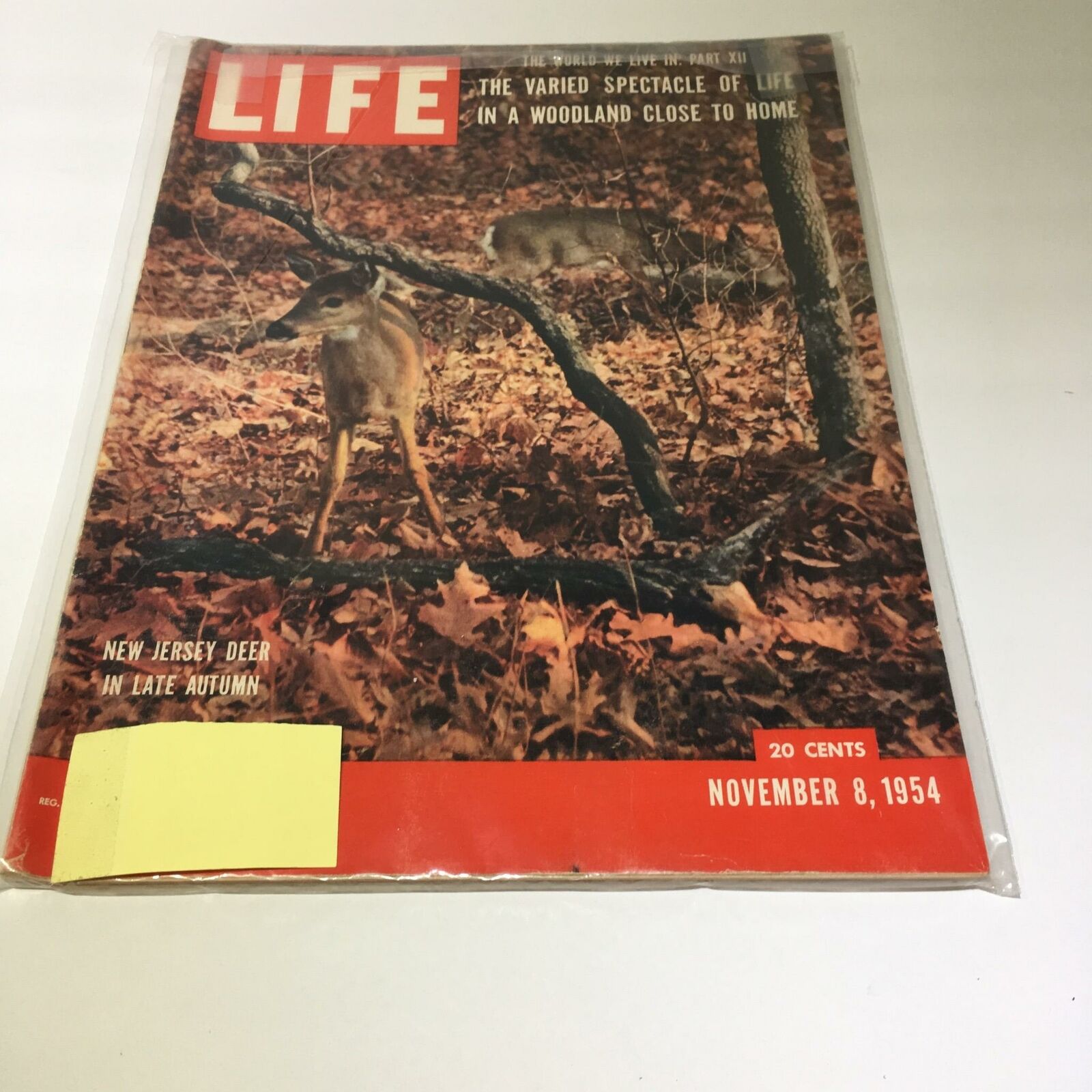 VTG Life Magazine November 8 1954 - Varied Spectacle of Life / New Jersey Deer