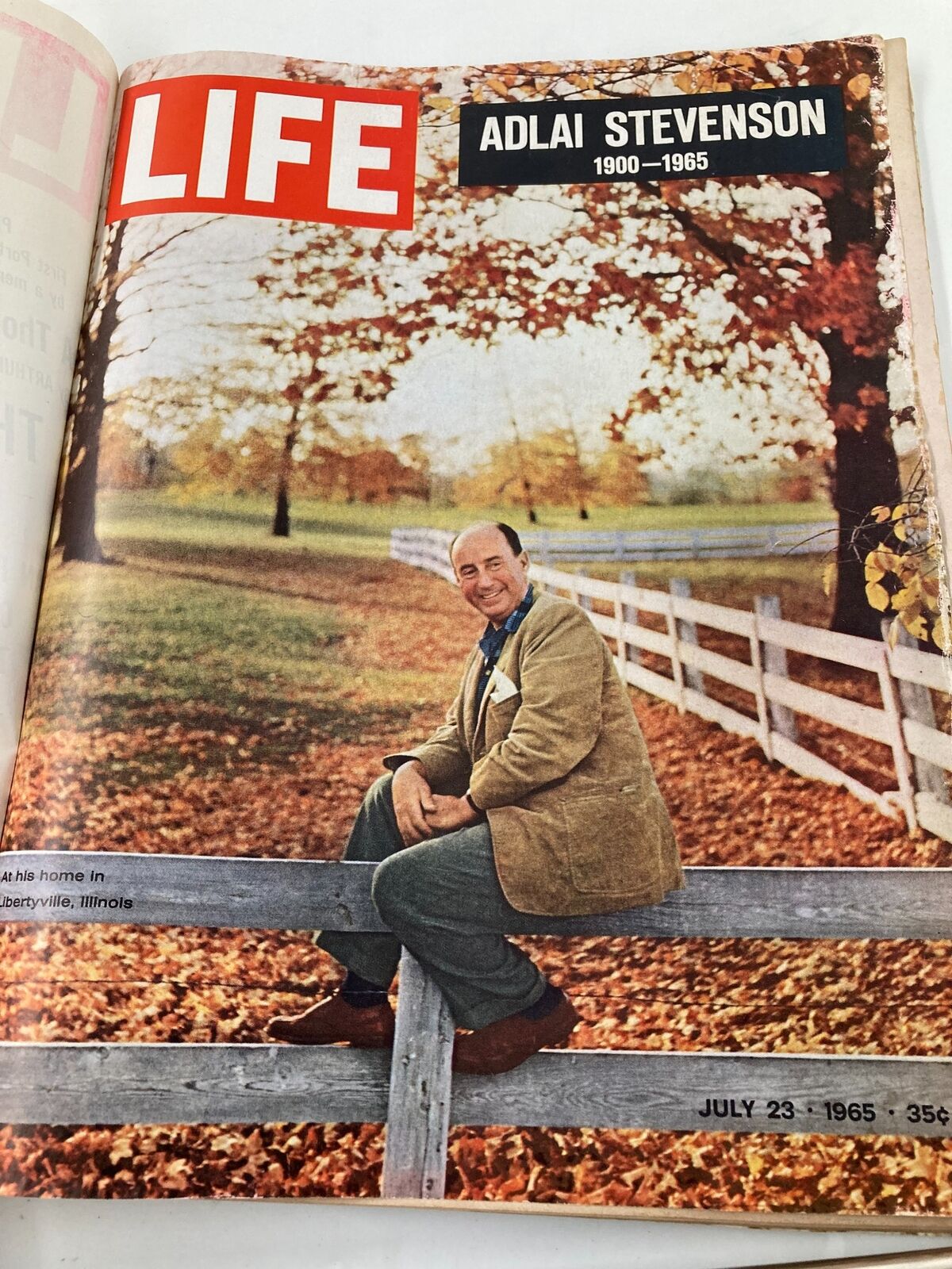 VTG Life Magazine July 23 1965 Adlai Stevenson 1900 - 1965 No Label