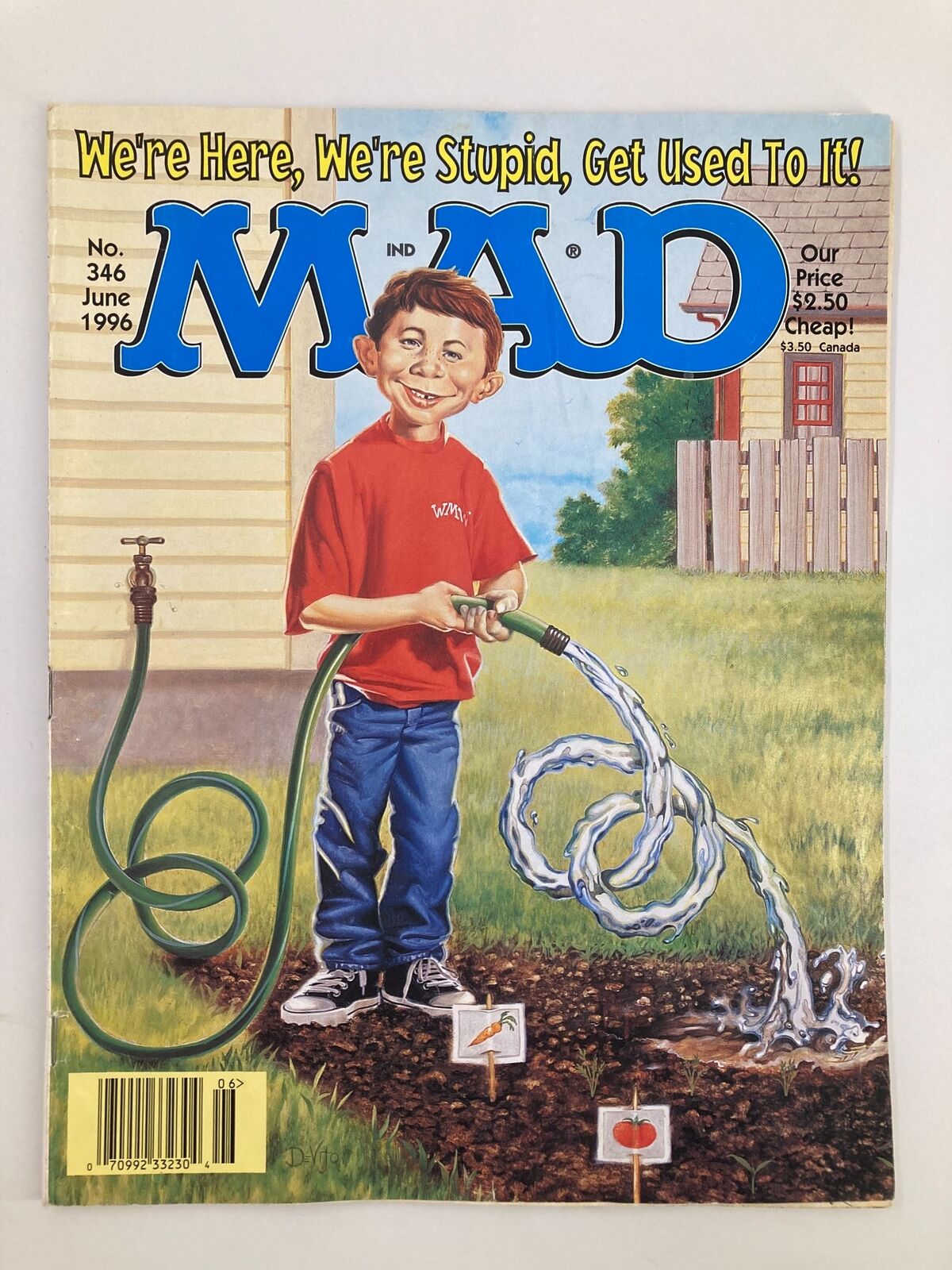 Mad Magazine June 1996 No. 346 Alfred We're Here, We're Stupid Fine FN 6.0