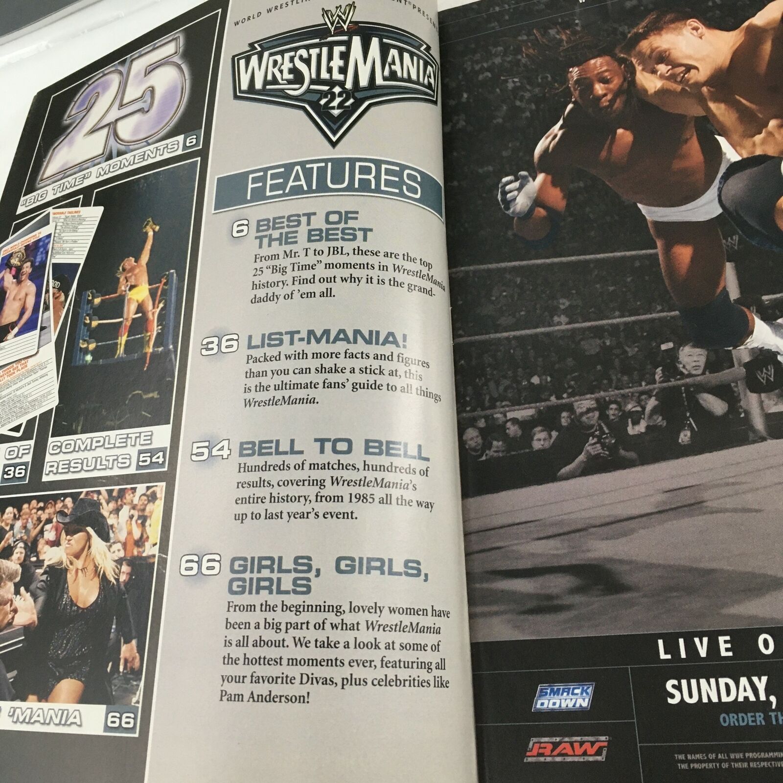 WWE Wrestle Mania Magazine June 2006 Hulk Hogan ft. Aretha Franklin, No Label VG