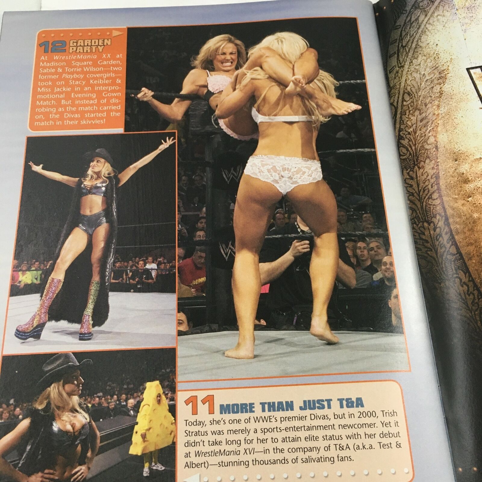 WWE Wrestle Mania Magazine June 2006 Hulk Hogan ft. Aretha Franklin, No Label VG