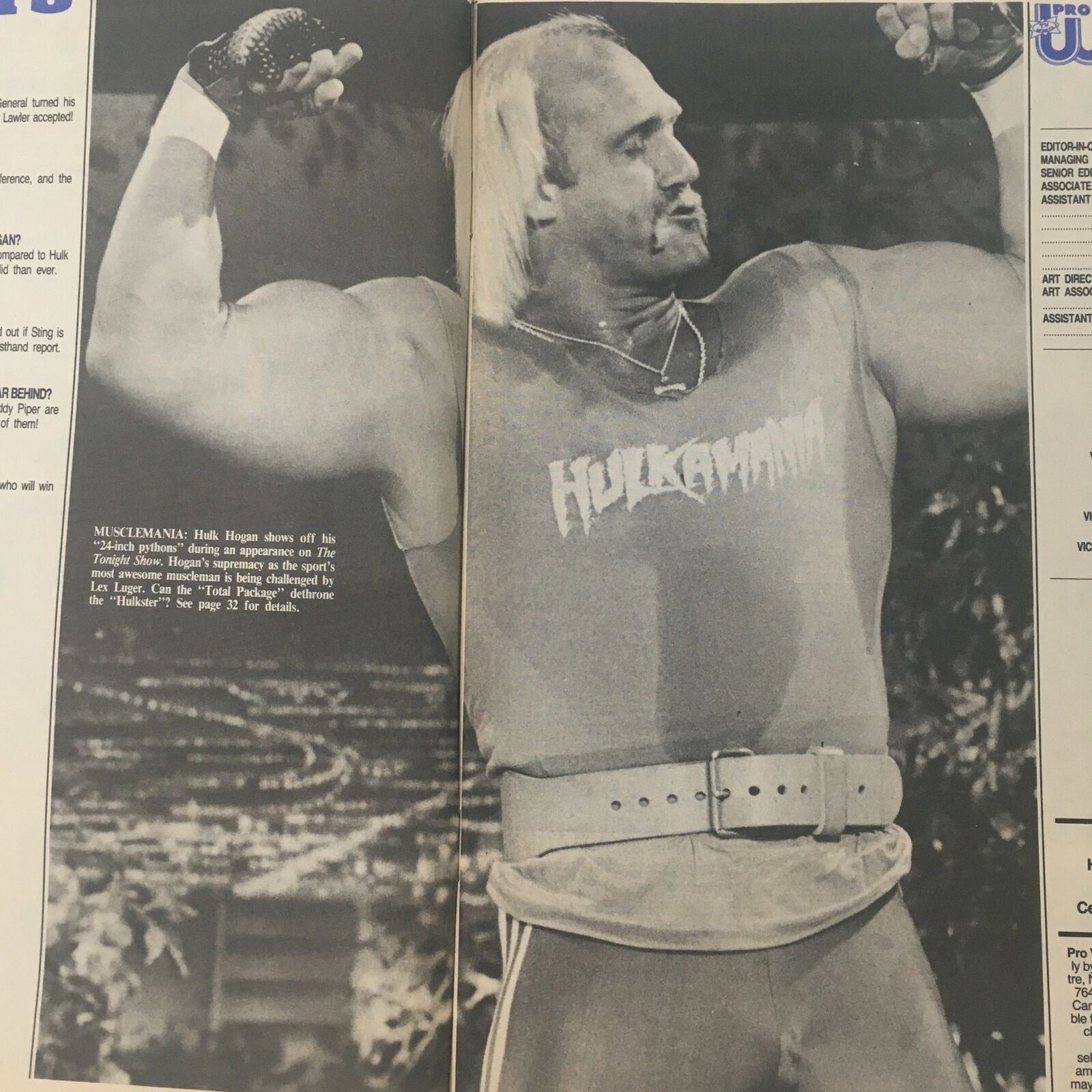 Pro Wrestling Illustrated Magazine October 1989 Lex Luger Hulk Hogan No Label VG