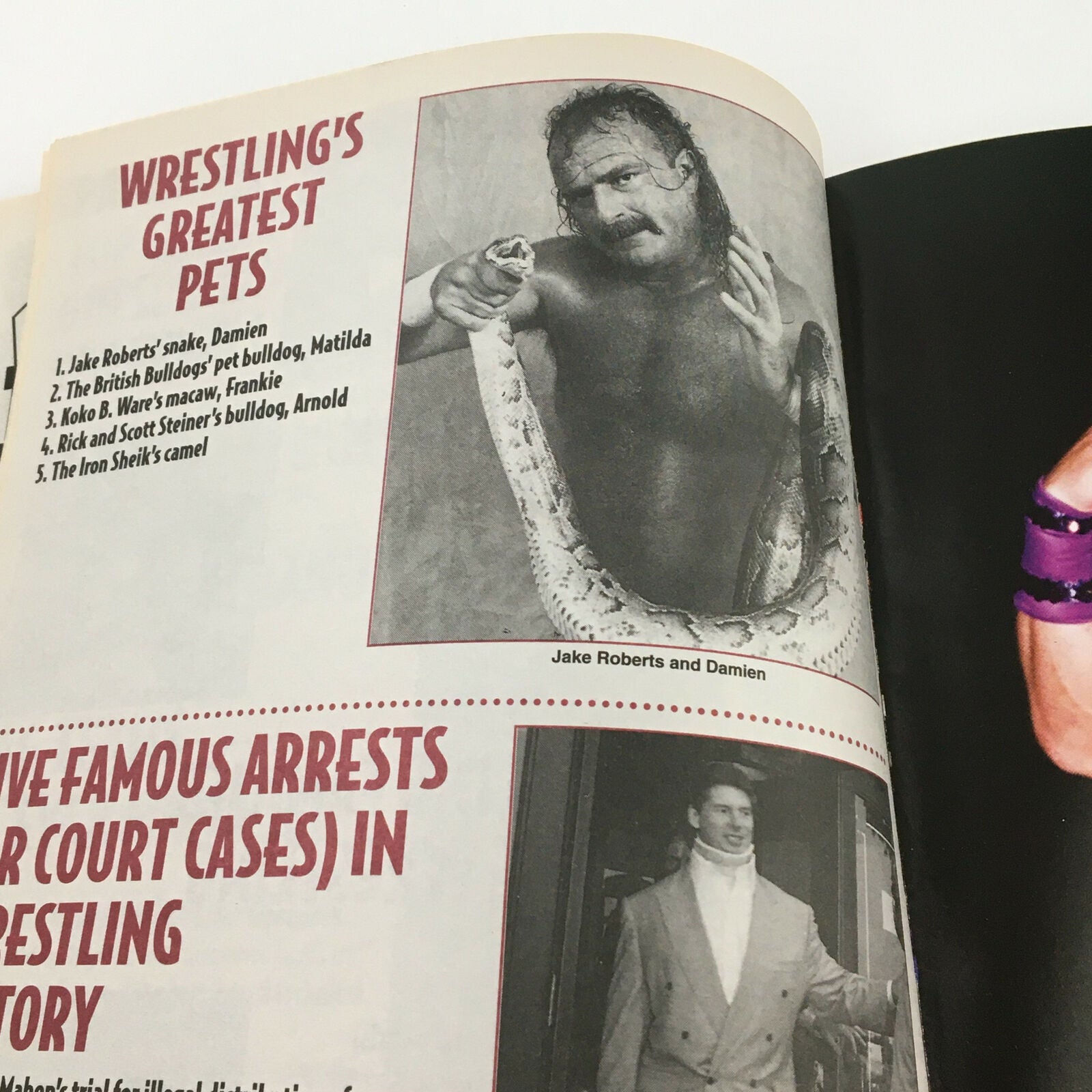 The Wrestler Magazine June 1995 The British Bulldog Demands, No Label