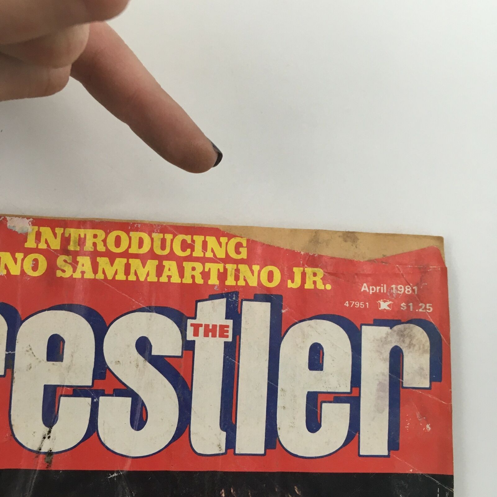Top section of The Wrestler Magazine April 1981 featuring text 'Introducing Bruno Sammartino Jr.' and publication details.