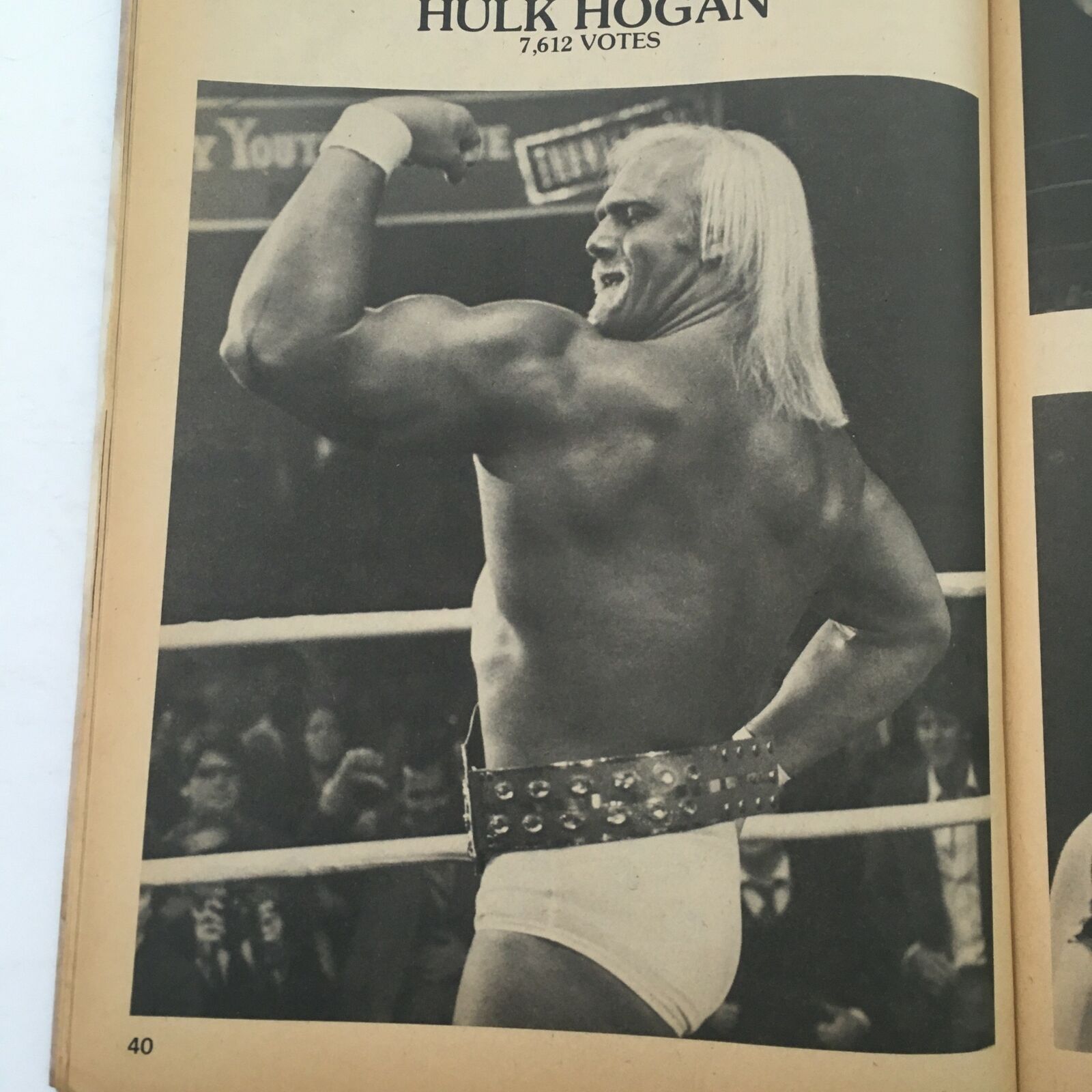 Wrestling Superstars Magazine Fall 1982 Hulk Hogan, Rick Martel & Tommy Rich