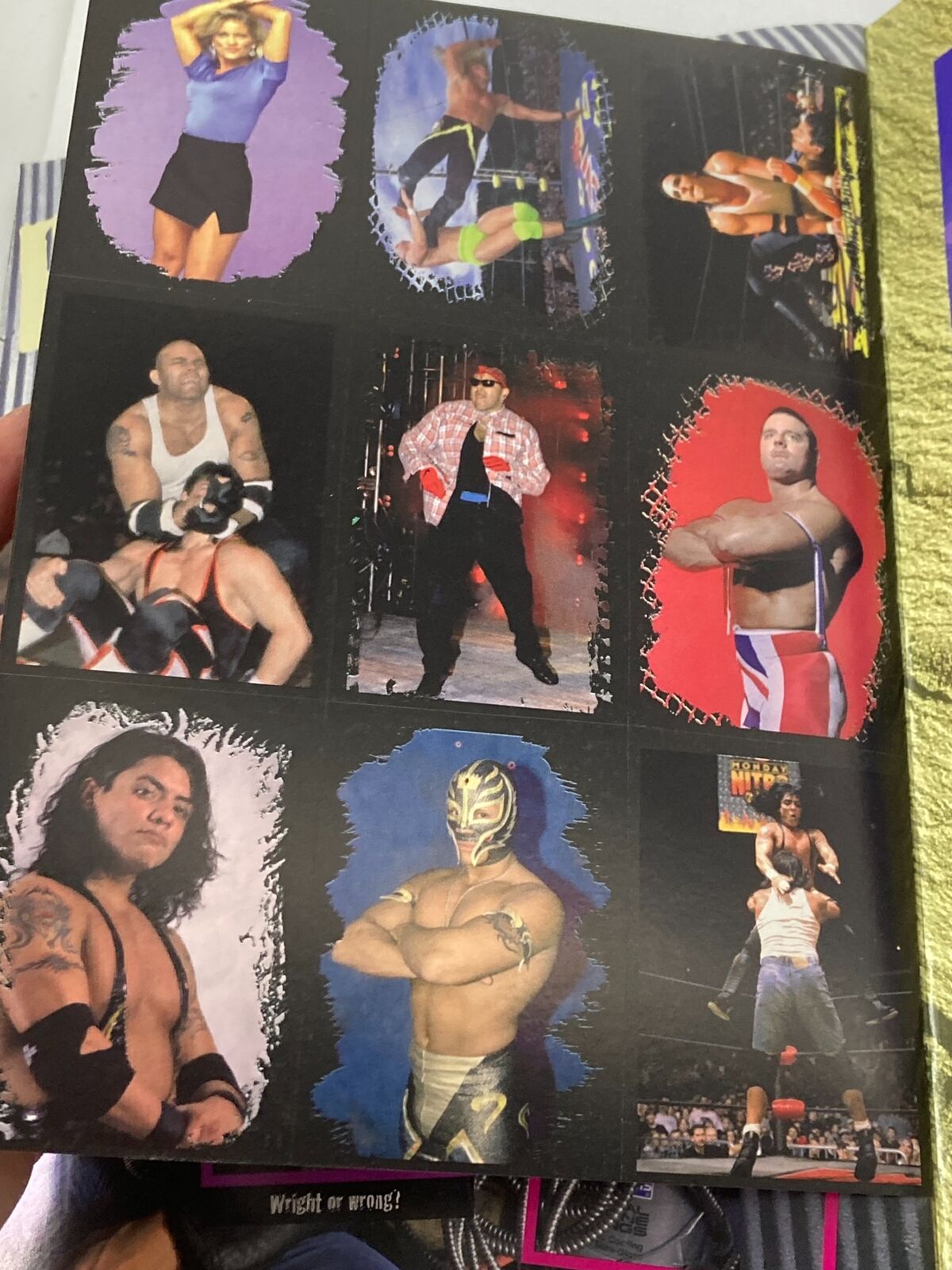 1999 WCW and NWO Sticker Book Hulk Hogan, Bill Goldberg & Kevin Nash