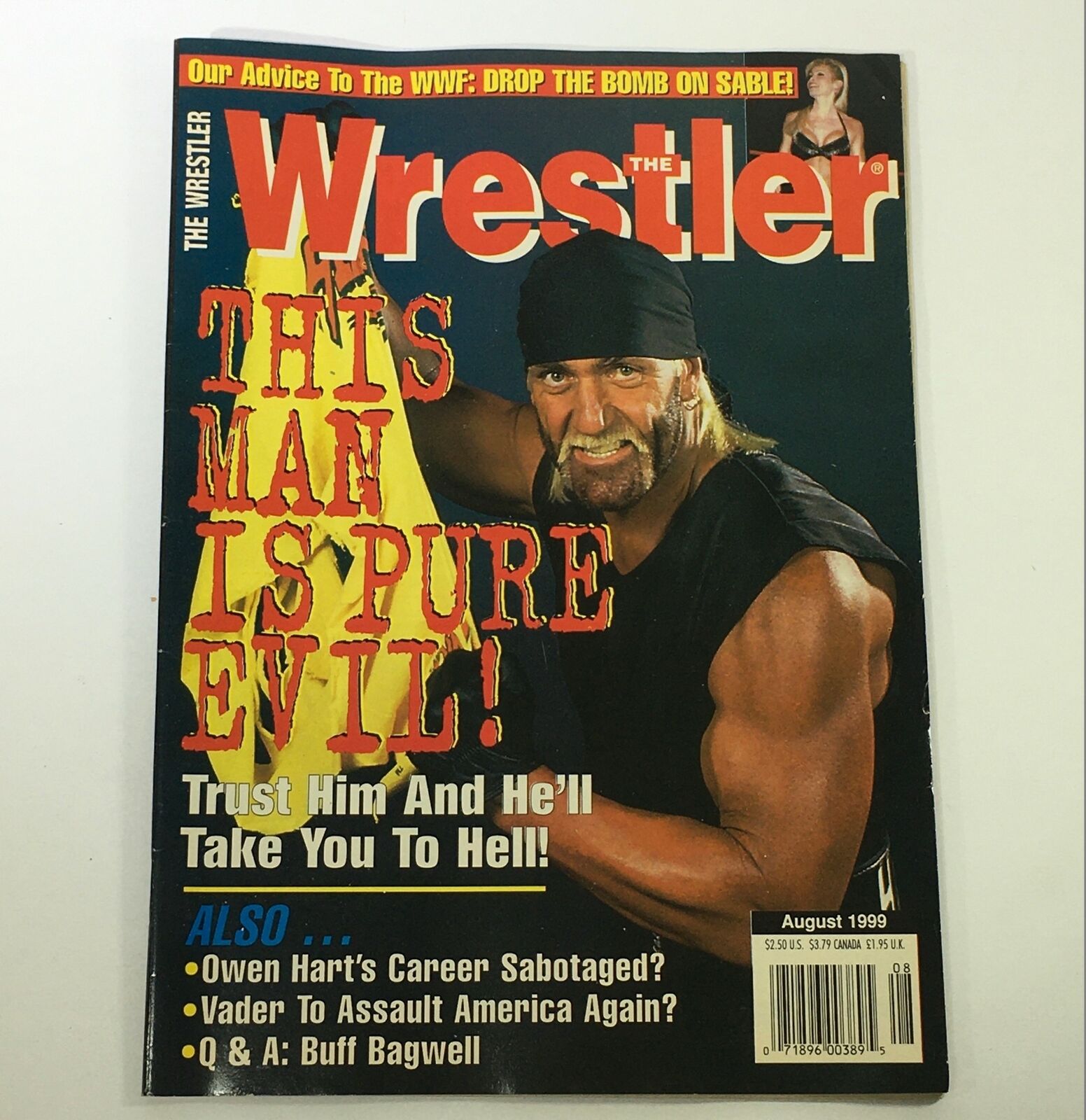 VTG The Wrestler Magazine August 1999 - Hollywood Hulk Hogan NWO