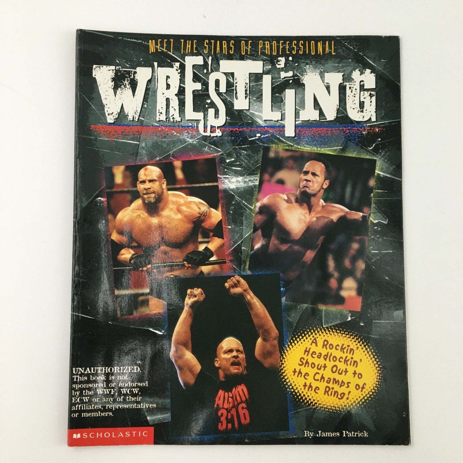 WWF WCW ECW Wrestling The Bottom Line, Steve Austin, Triple H., The Undertaker