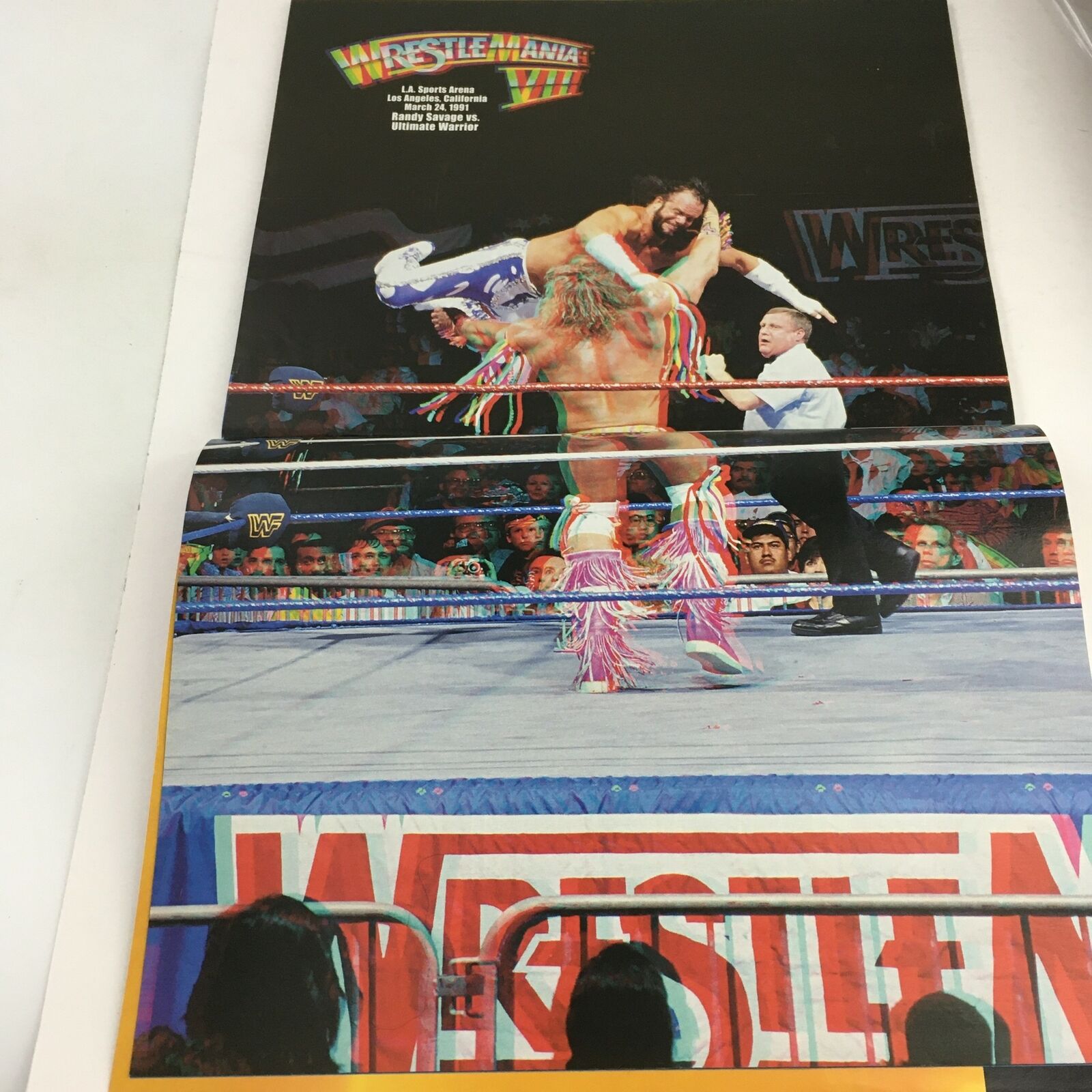 WWE Wrestle Mania April 2004 3D Sports-Entertainment Randy Savage, No Label VG