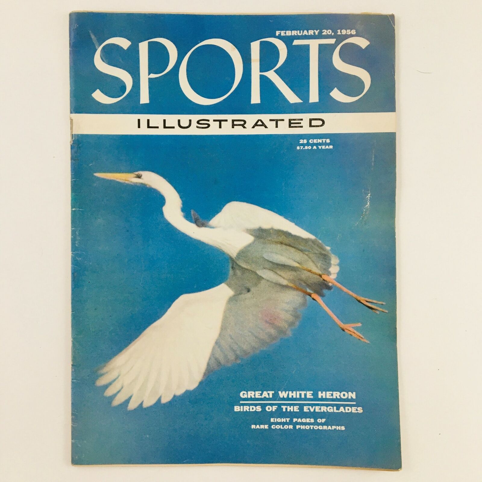 Sports Illustrated Magazine February 20 1956 Birds of the Everglades No Label