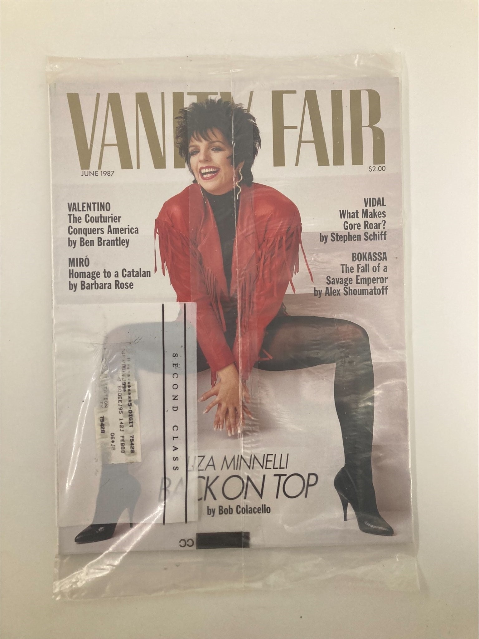 VTG Vanity Fair Magazine June 1987 Liza Minnelli Back On Top Sealed New