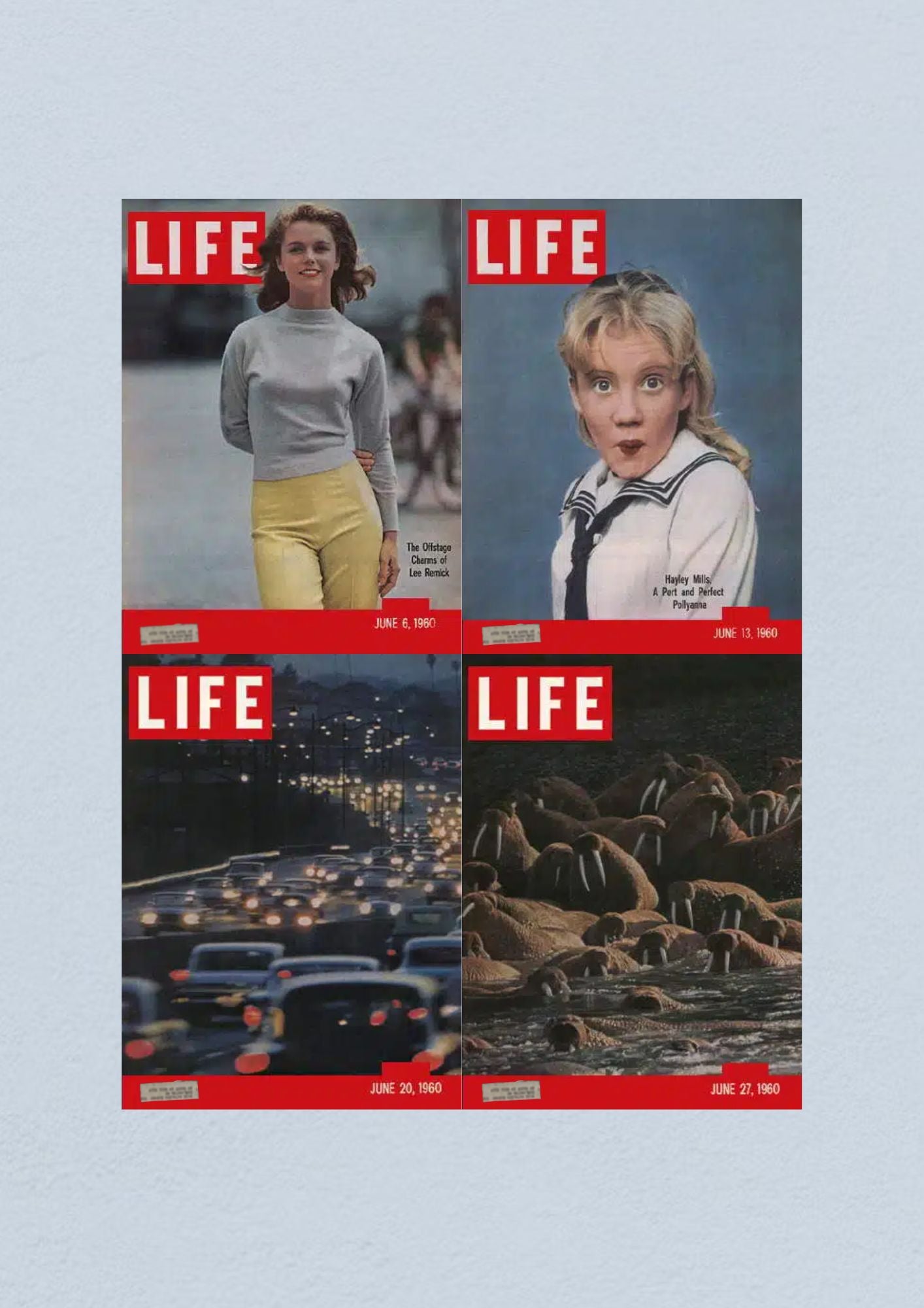 Life Magazine Lot of 4 Full Month of June 1960 6, 13, 20, 27 Civil Rights Era