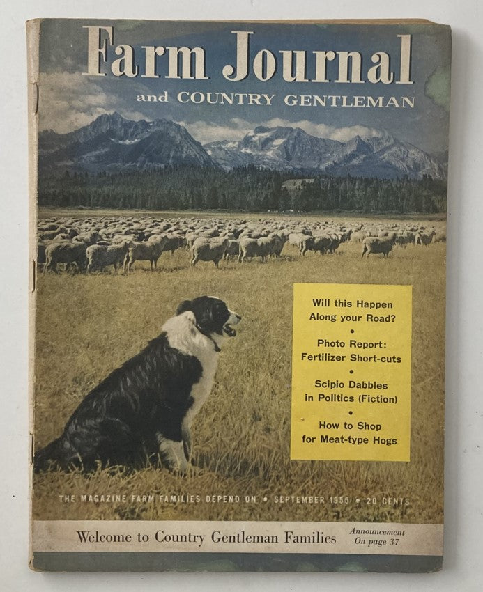 Farm Journal & Country Gentleman Magazine September 1955 Scipio Dabbles No Label