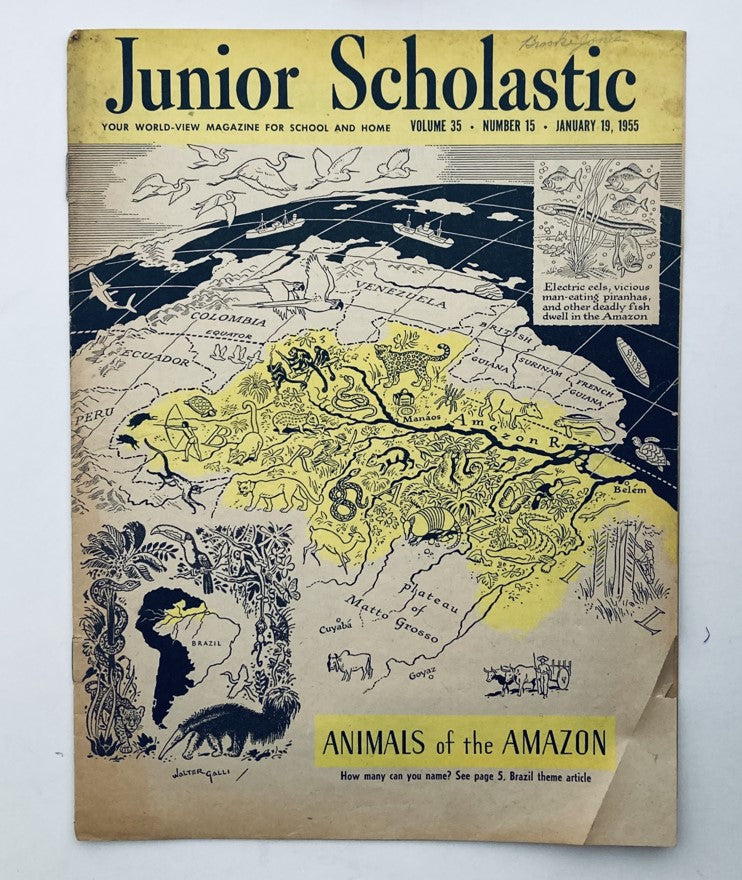 VTG Junior Scholastic Magazine January 19 1955 Animals of the Amazon No Label