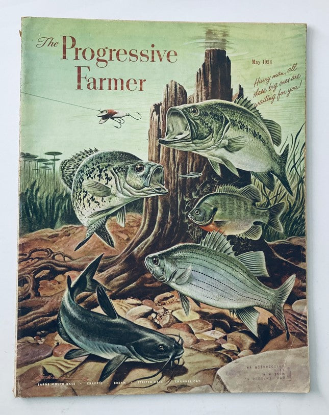 VTG The Progressive Farmer Magazine May 1954 Vol 69 #5 Ten Pasture Helps for May