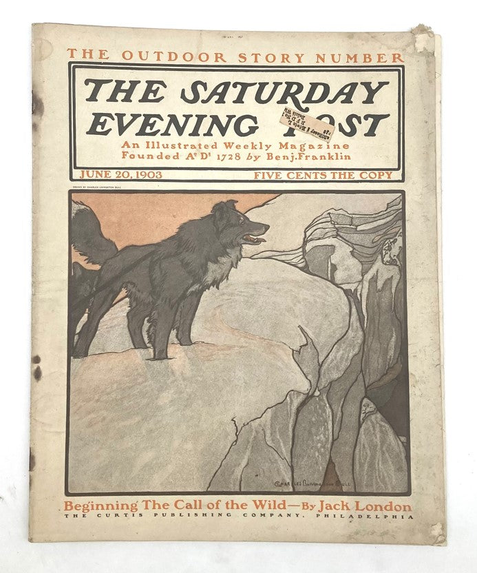 Saturday Evening Post Illustrated Cover June 20 1903 The Call of The Wild