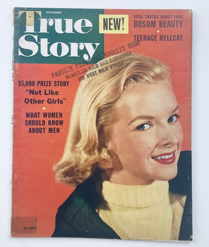 VTG True Story Magazine November 1953 Vol 69 No. 4 Teenage Hellcat No Label