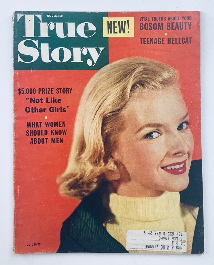 VTG True Story Magazine November 1953 Vol 69 No. 4 Cover Girl Lois Gunas