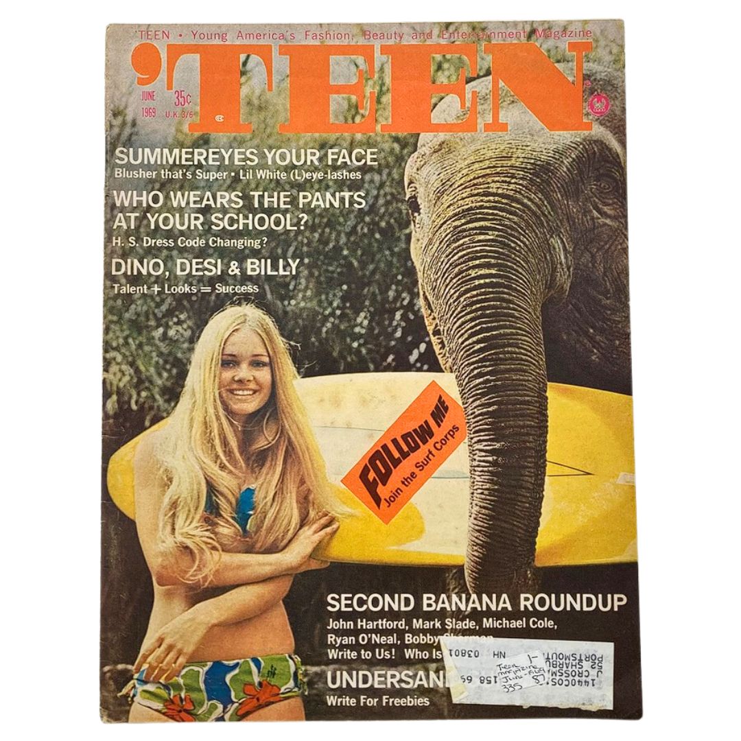 VTG 'Teen Magazine June 1969 Vol 13 #6 Dino, Desoi and Billy = Success