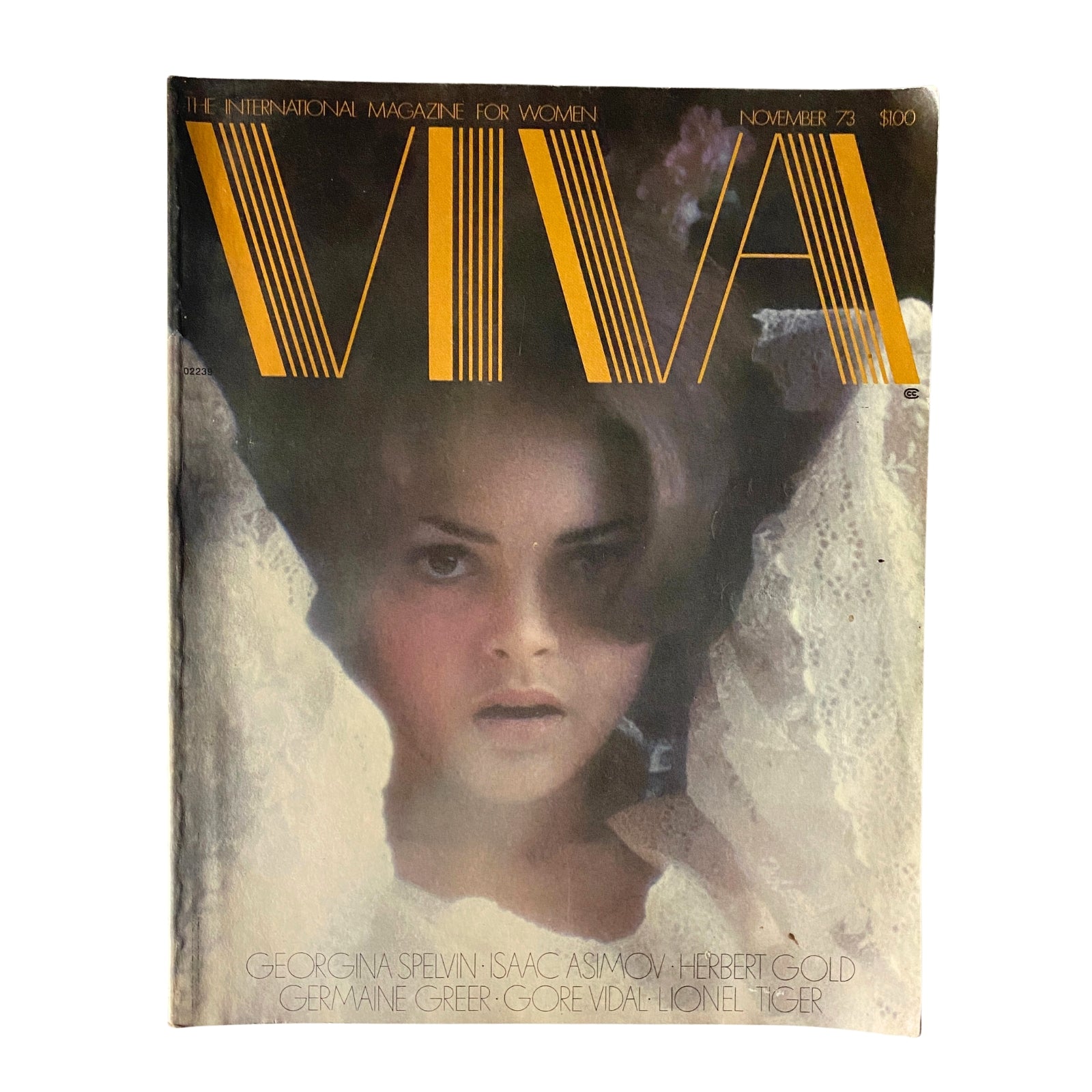 Cover of Viva Magazine November 1973 featuring the striking title 'Forget the Devil - Meet Miss Jones'. This edition showcases a woman with flowing hair, capturing the essence of 1970s fashion and culture.