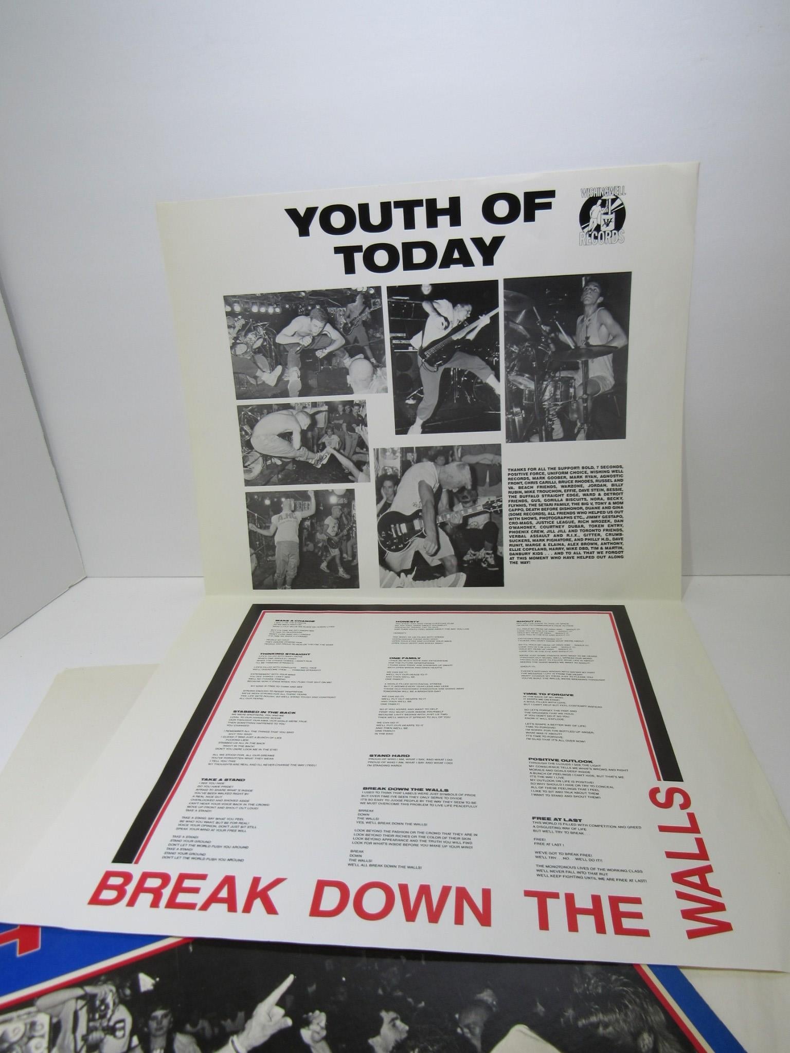 Youth Of Today: Break Down The Walls Wishingwell Records LP WW4 Grade: VG+