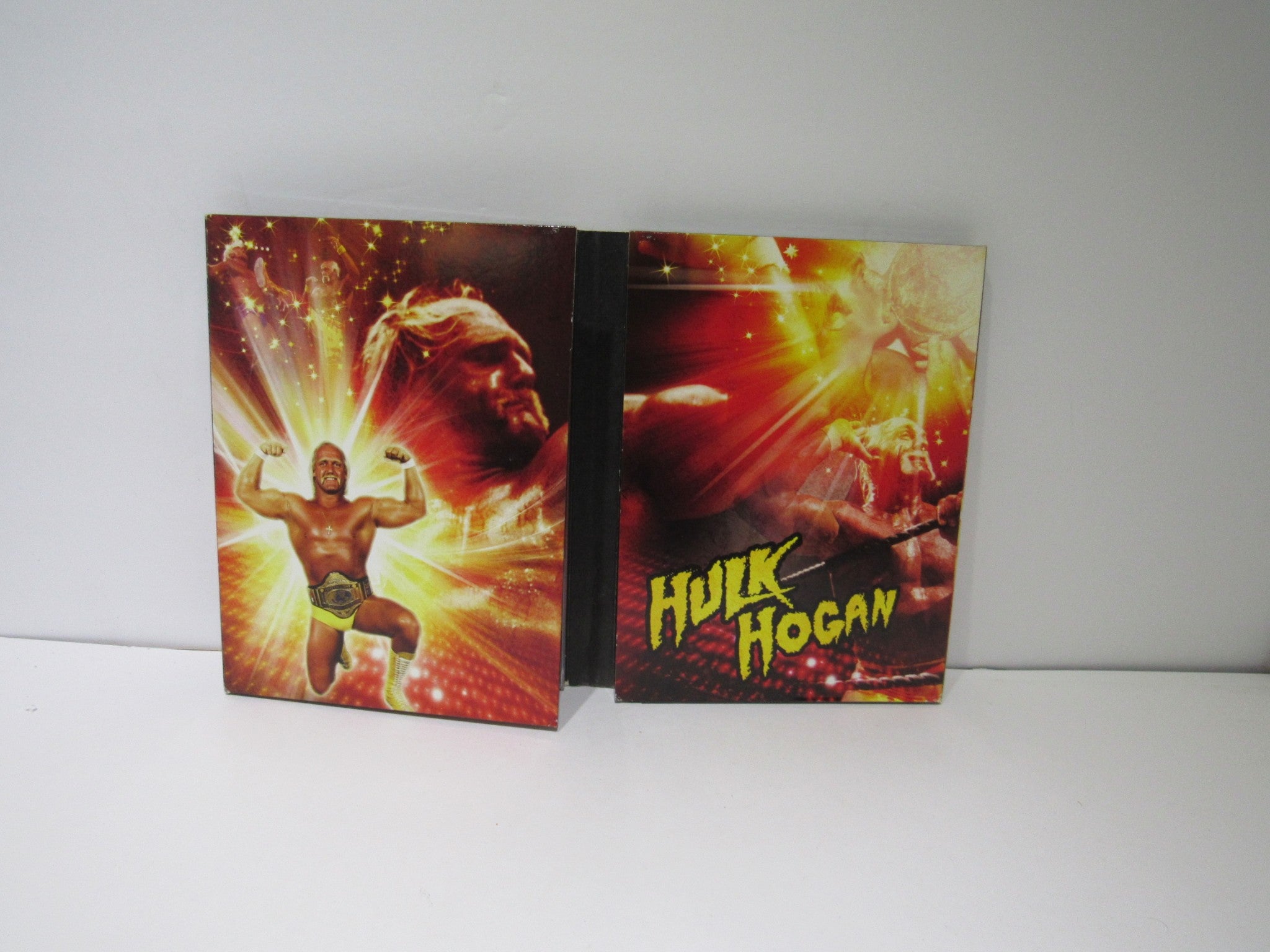 Back cover of Hulk Hogan's Unreleased Collector's Series (2009) DVD, displaying striking artwork of Hulk Hogan with a colorful background.