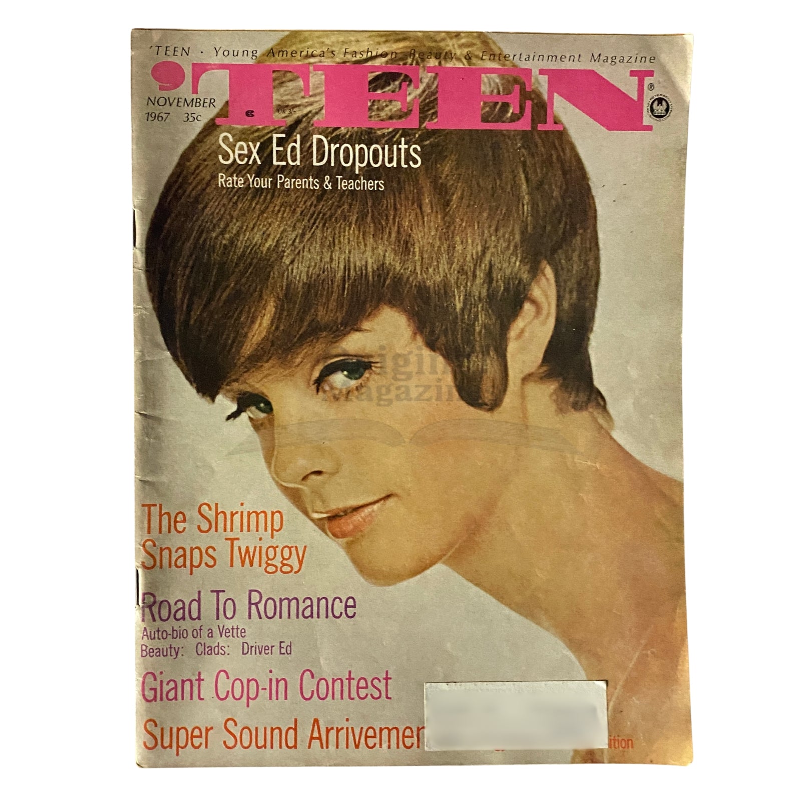 'Teen Magazine November 1967 The Shrimp Snaps Twiggy