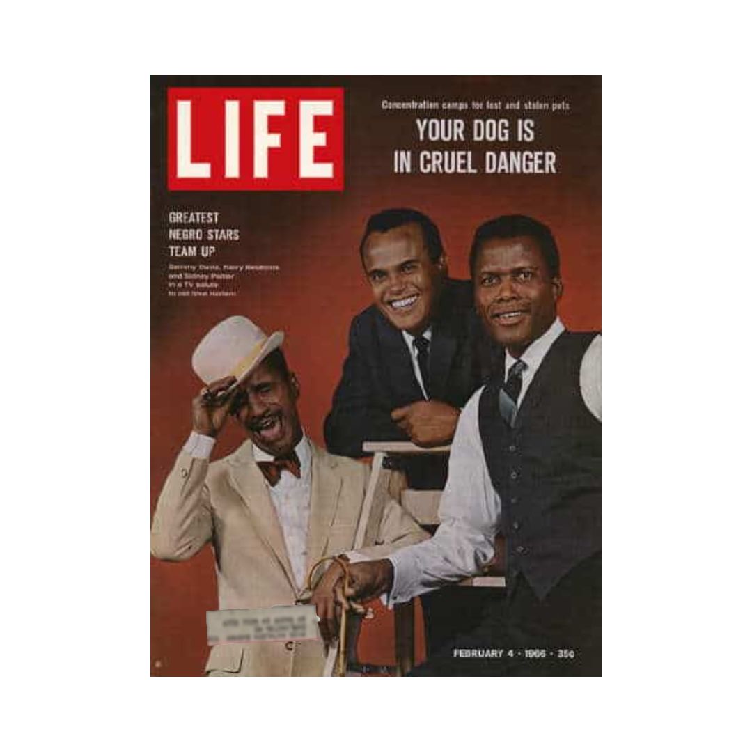 Vintage Life Magazine cover from February 4, 1966, featuring Sammy Davis Jr., Harry Belafonte, and Sidney Poitier, highlighting the greatest Negro stars of the era.