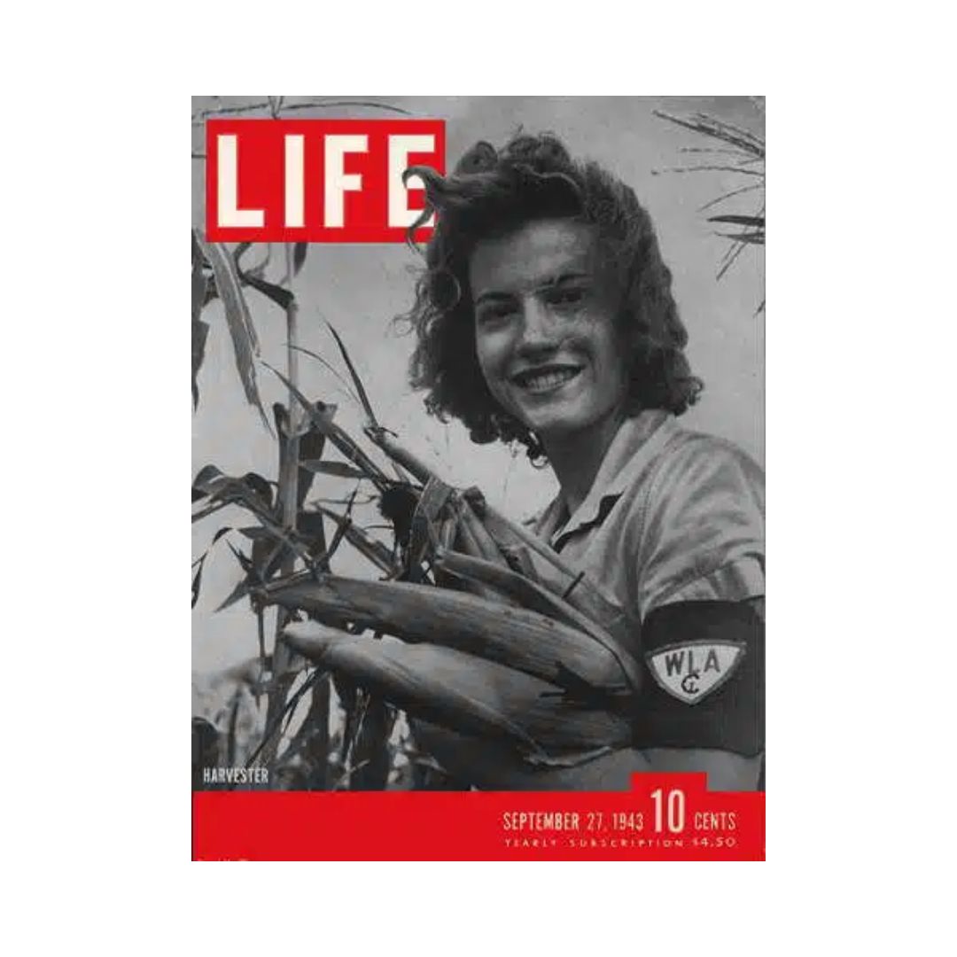 VTG Life Magazine September 27, 1943 Land Army Harvester Shirley Armstrong