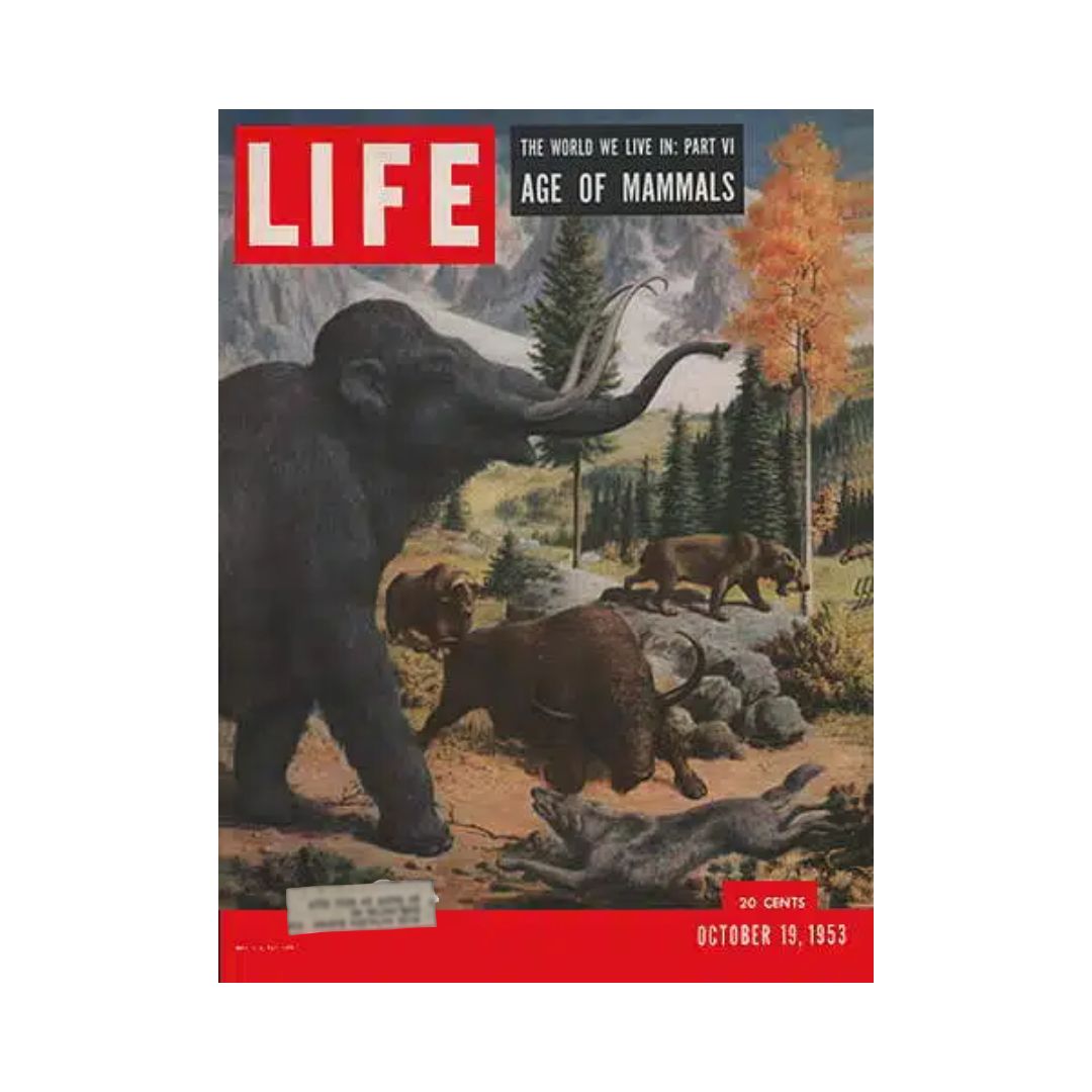 VTG Life Magazine October 19, 1953 Age of Mammals