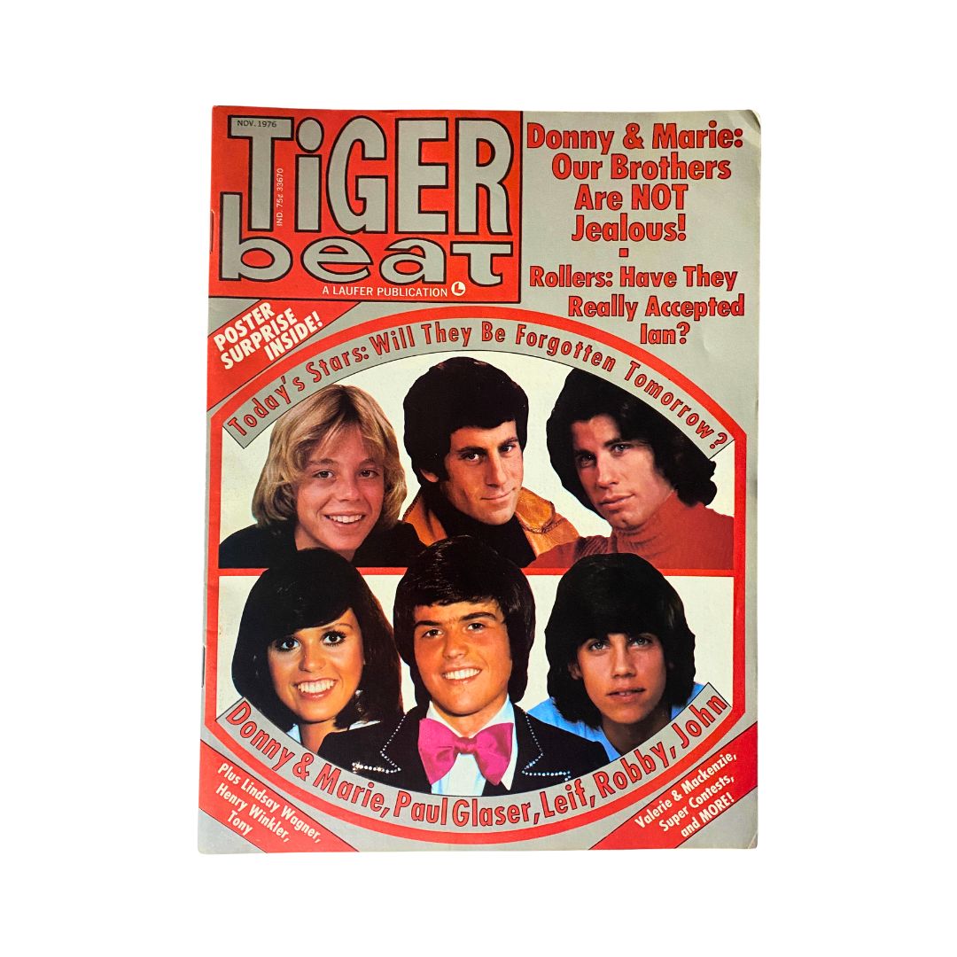 VTG Tiger Beat Magazine November 1976 Donny & Marie VG w Poster No Label