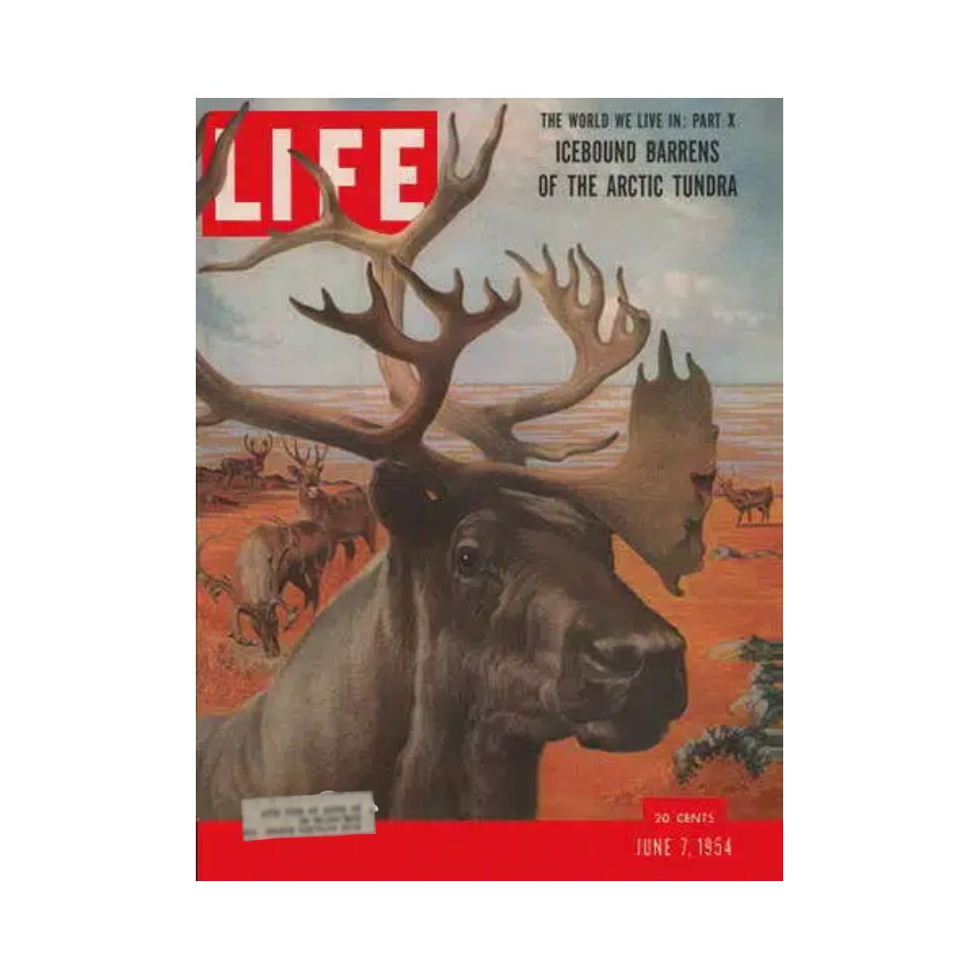 VTG Life Magazine June 7, 1954 Icebound Barrens of Arctic Tundra