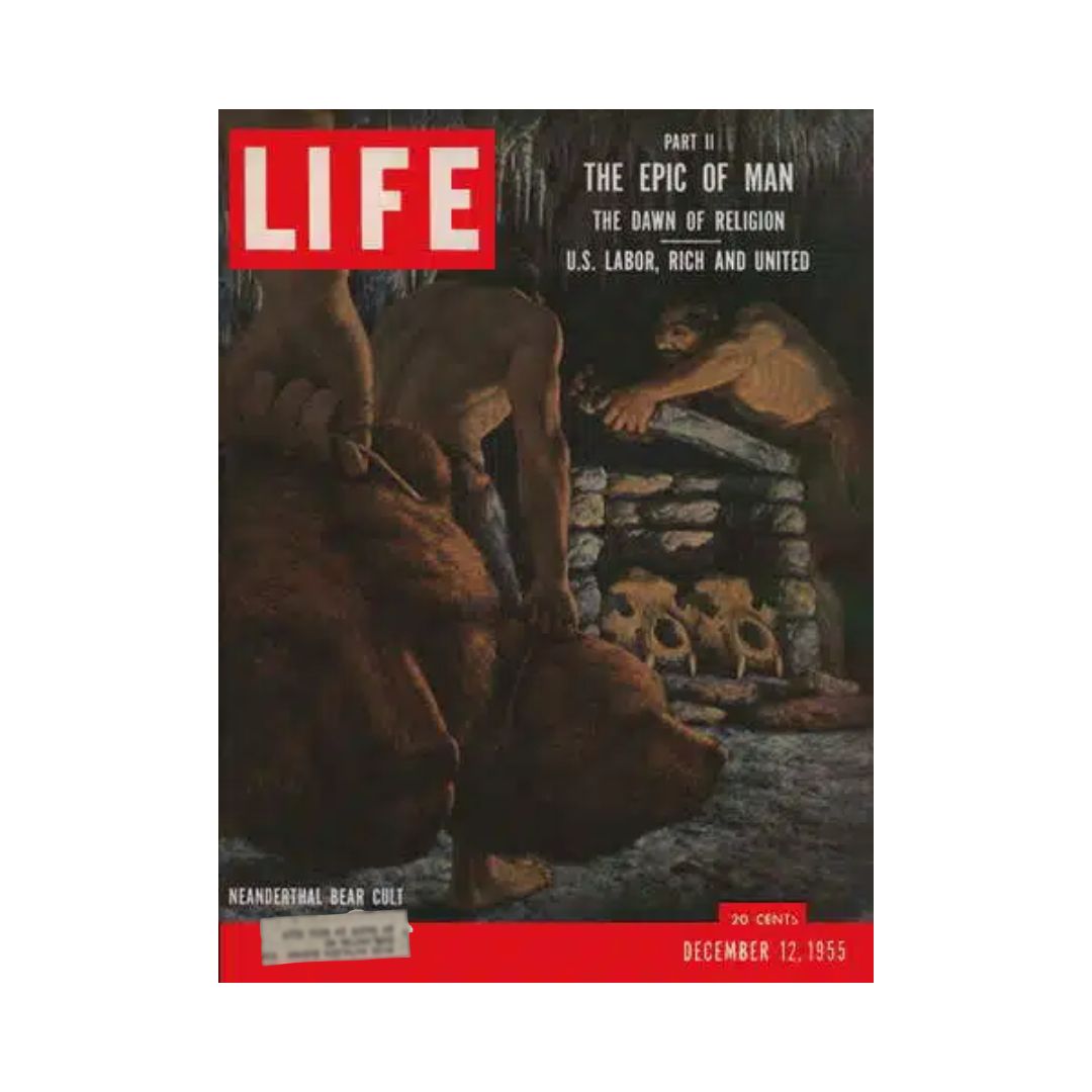 VTG Life Magazine December 12, 1955 issue featuring the Neanderthal Bear Cult, showcasing early human culture and beliefs through a captivating cover illustration.