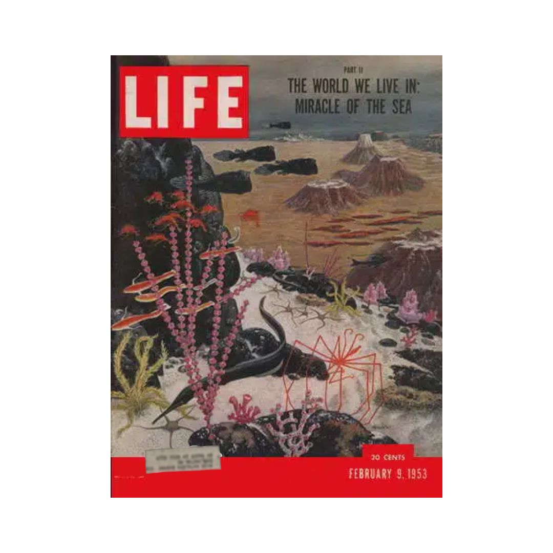 VTG Life Magazine February 9, 1953 Miracle of the Sea