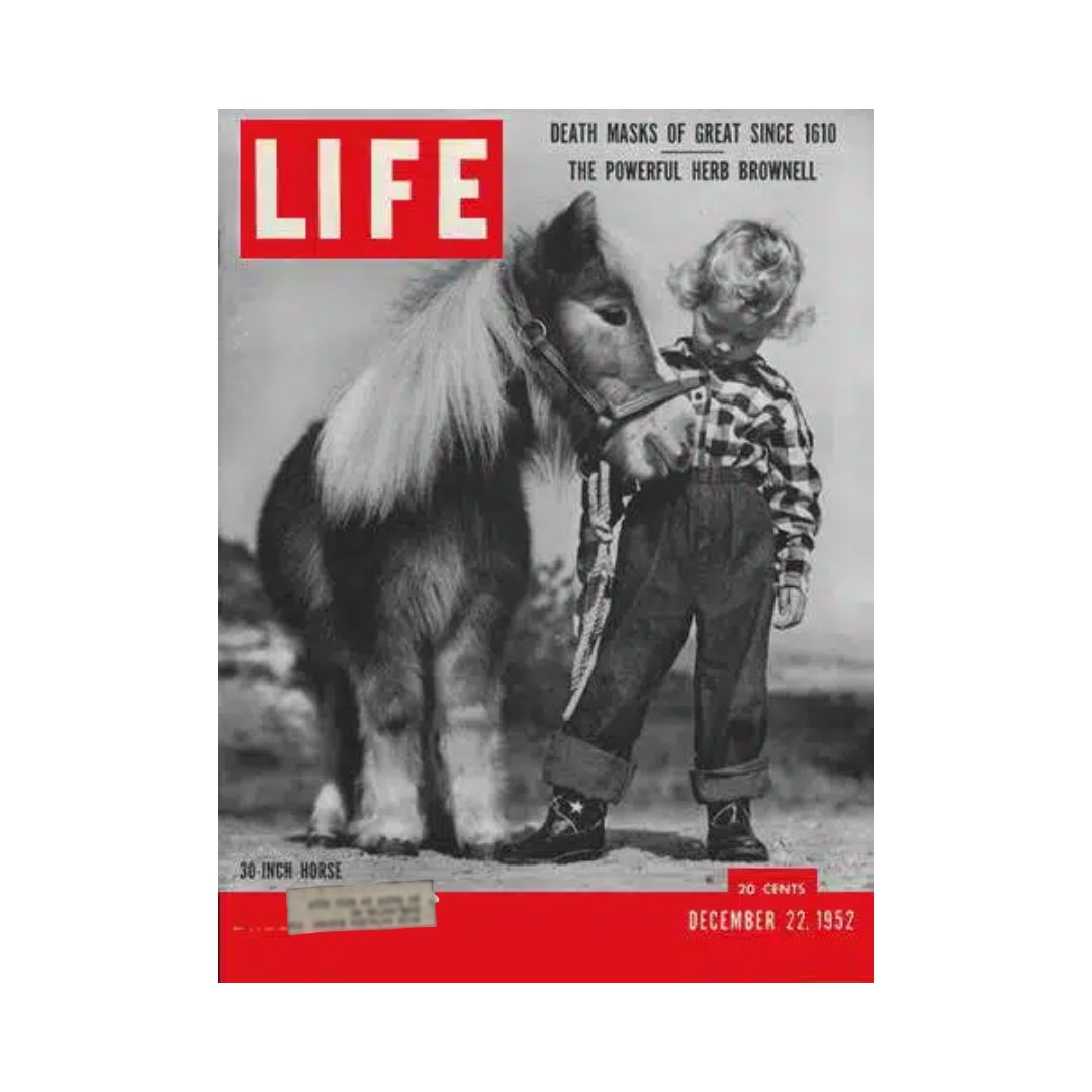 VTG Life Magazine December 22, 1952 30-inch Horse