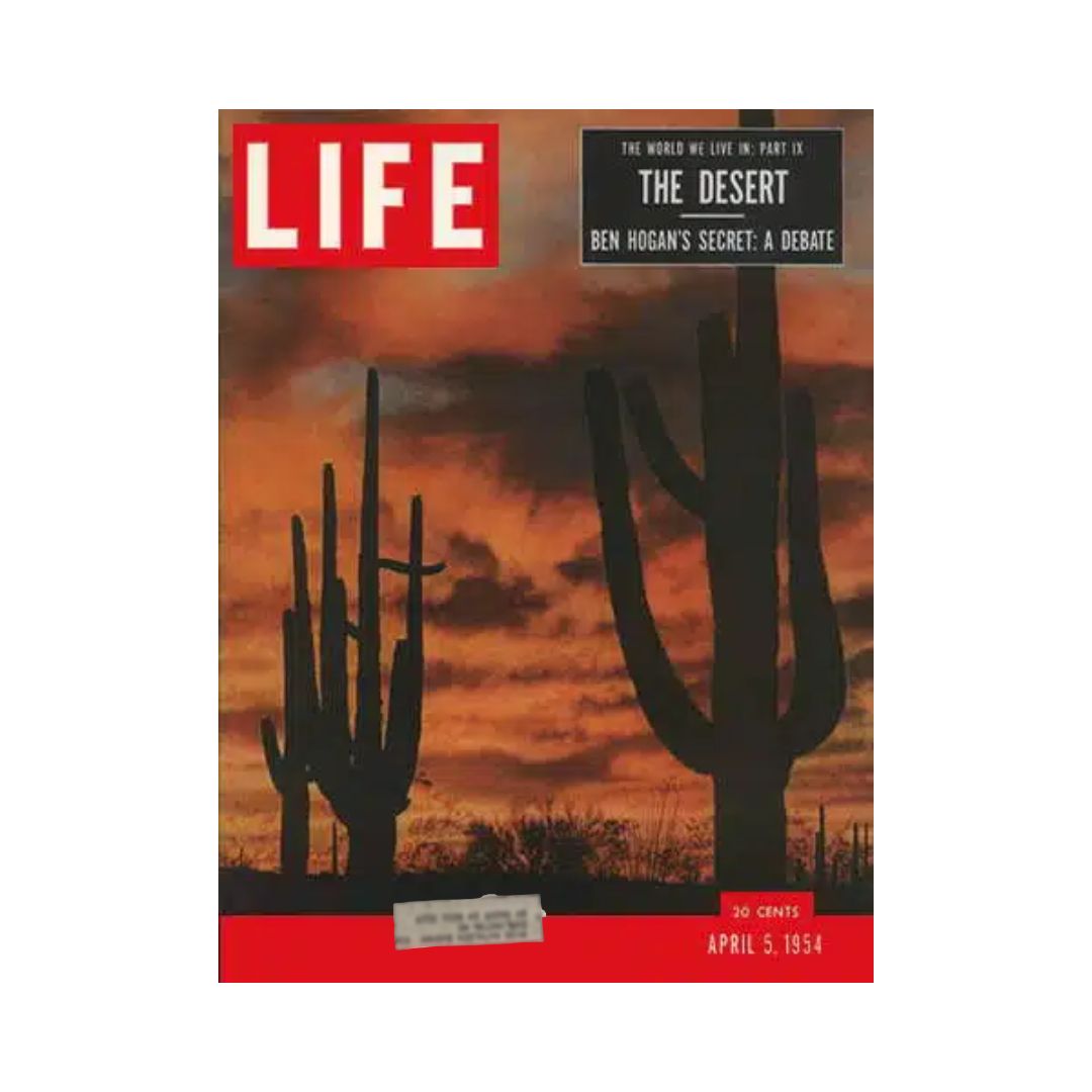 VTG Life Magazine April 5, 1954 The Desert