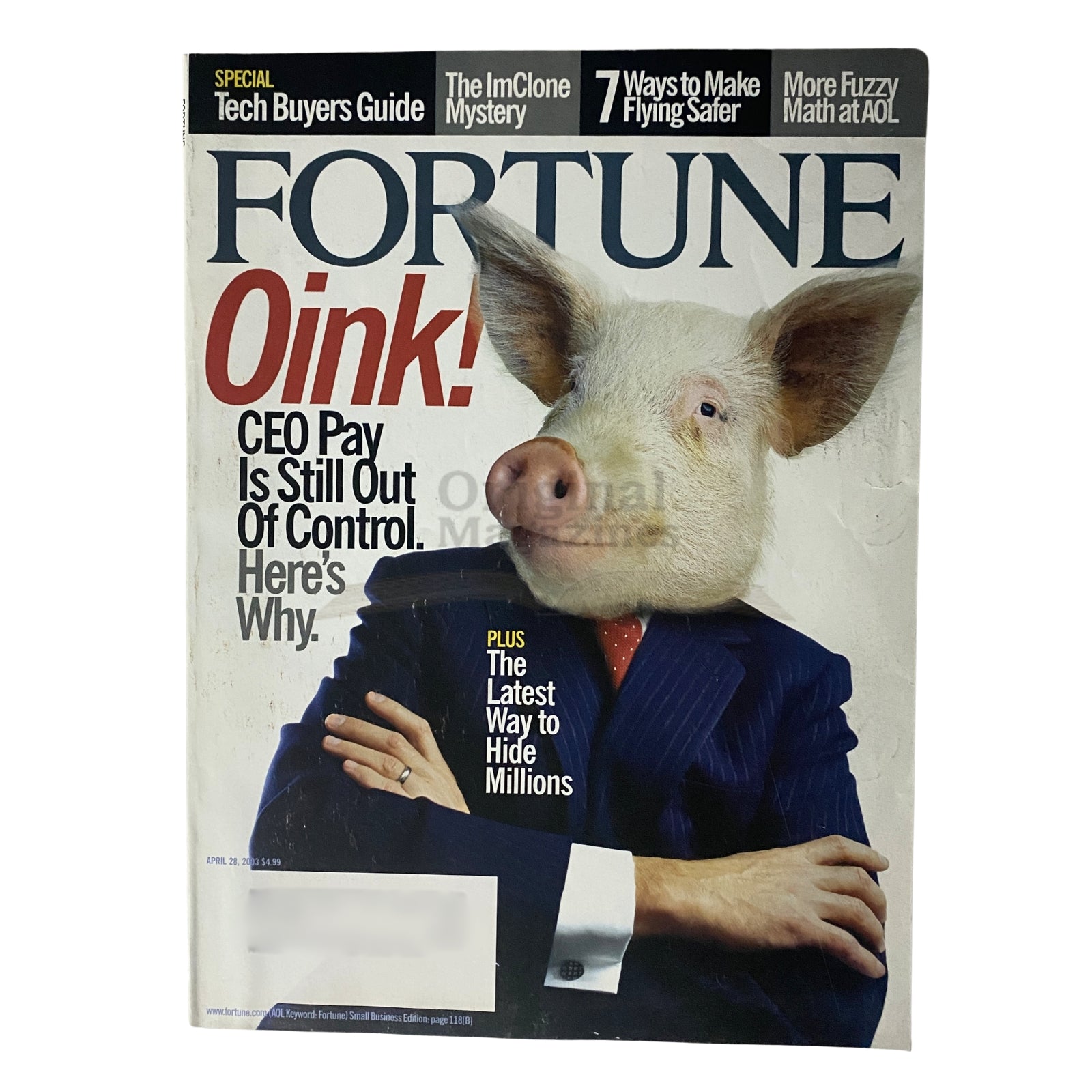 Fortune Magazine April 28, 2003 cover featuring a pig's head superimposed on a suited businessman, with the title 'Oink! CEO Pay Is Still Out Of Control. Here's Why' and an article titled 'The Latest Way to Hide Millions'.